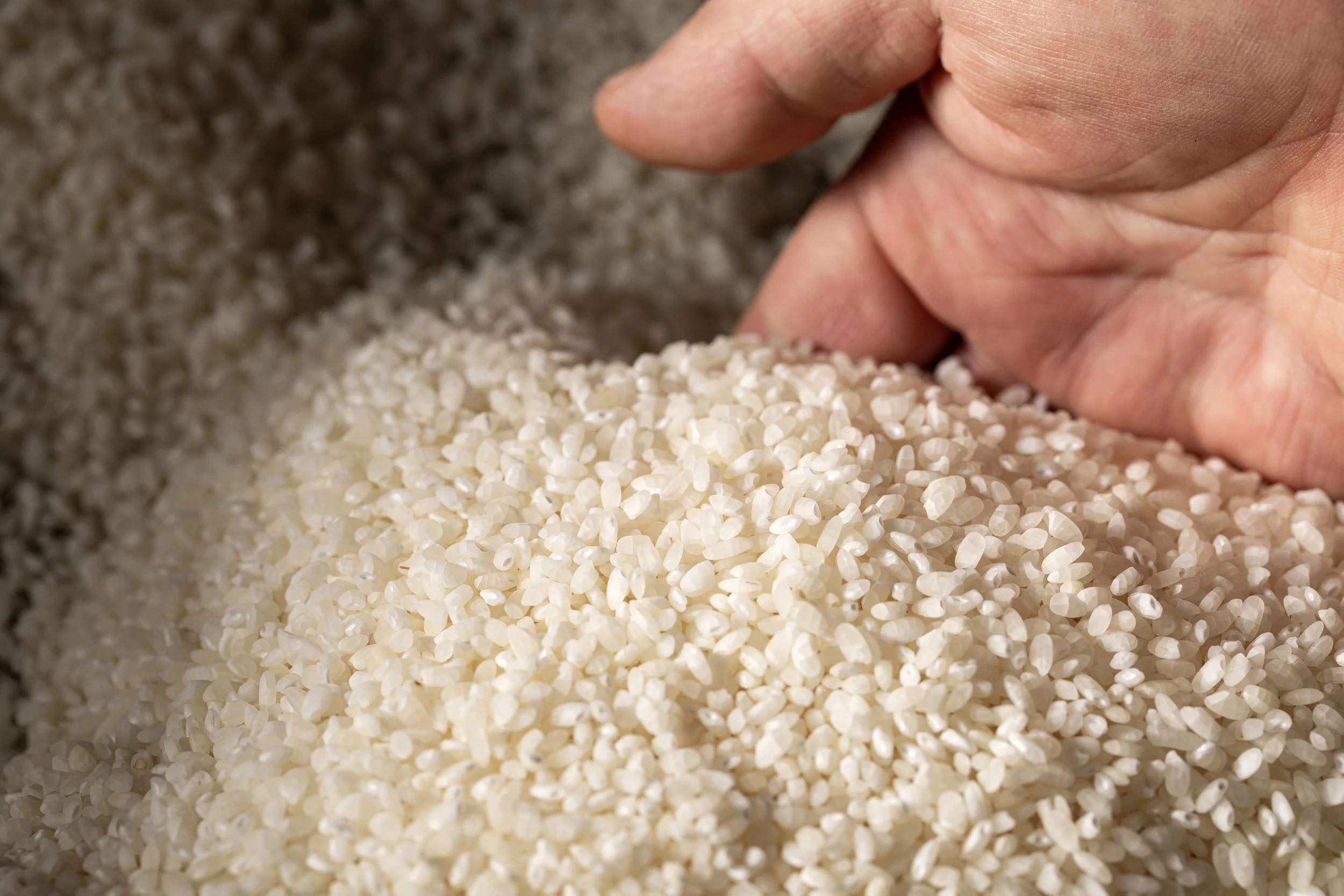 Arroz_Crédito Tati Frison.jpg