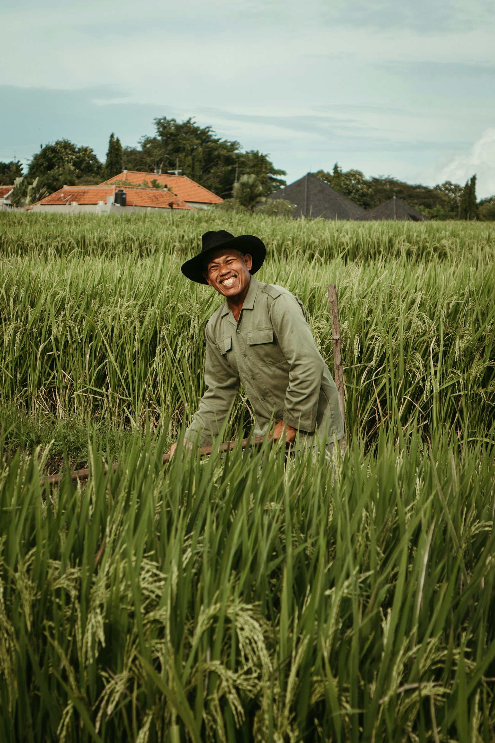 Agriculture & Sustainability