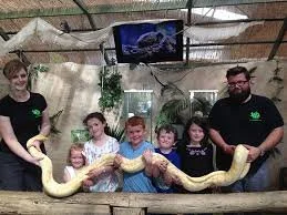 Reptile Zoo