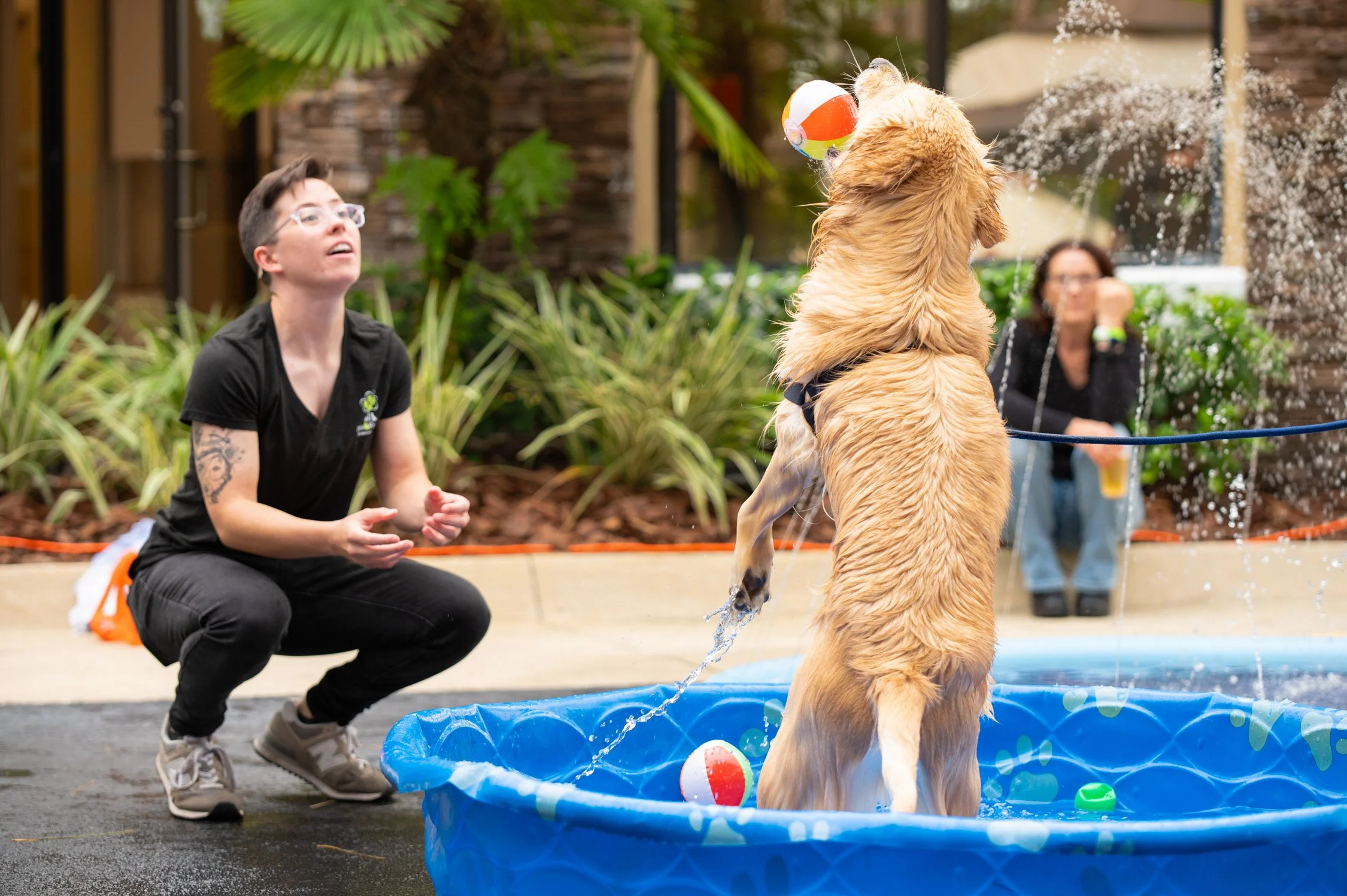 Golden retriever puppy playing with a beach ball in a small blue plastic pool while a woman crouches nearby, and a woman sits on the poolside in the background.