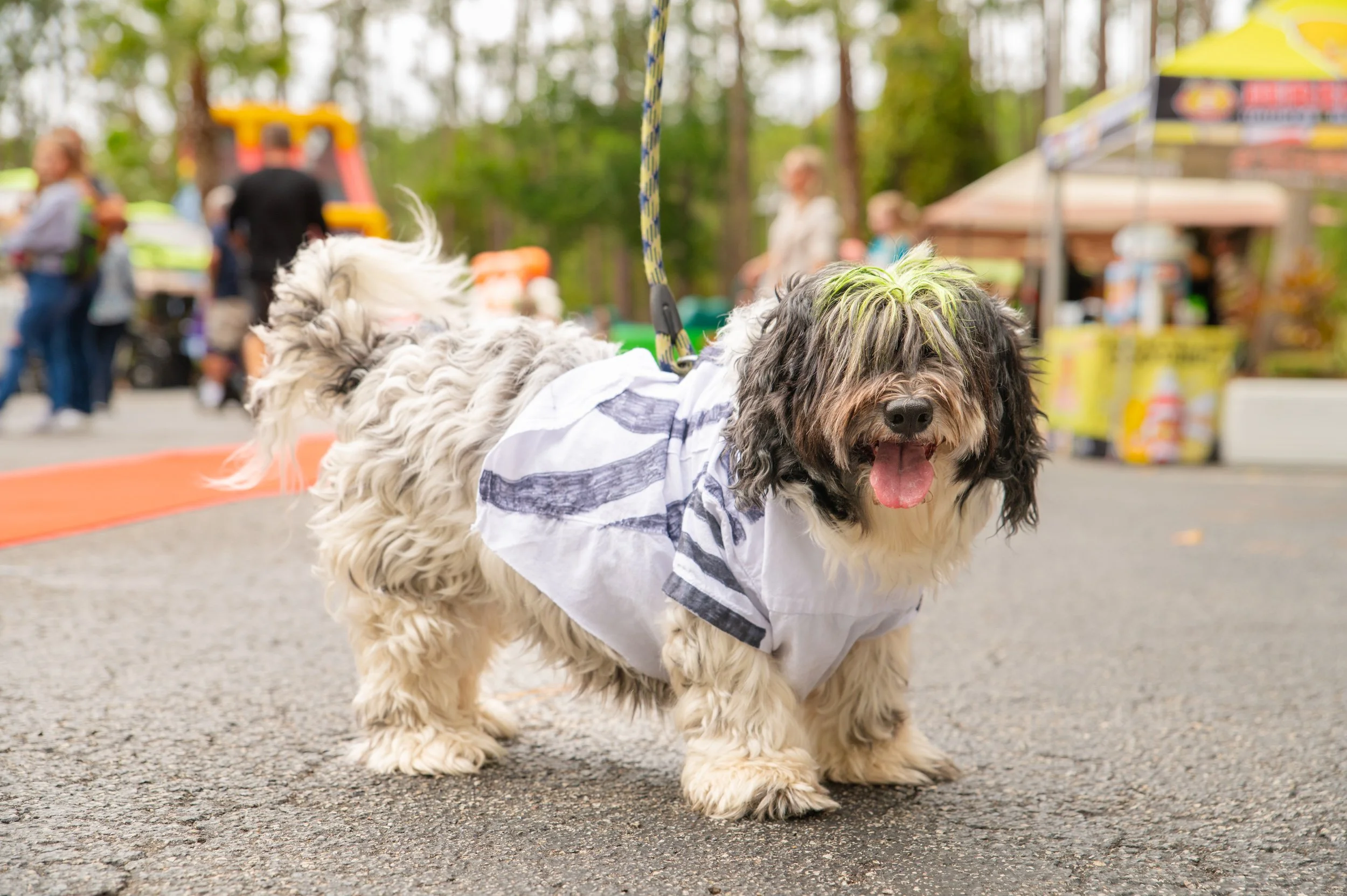 Barktoberfest 2024_12.jpg