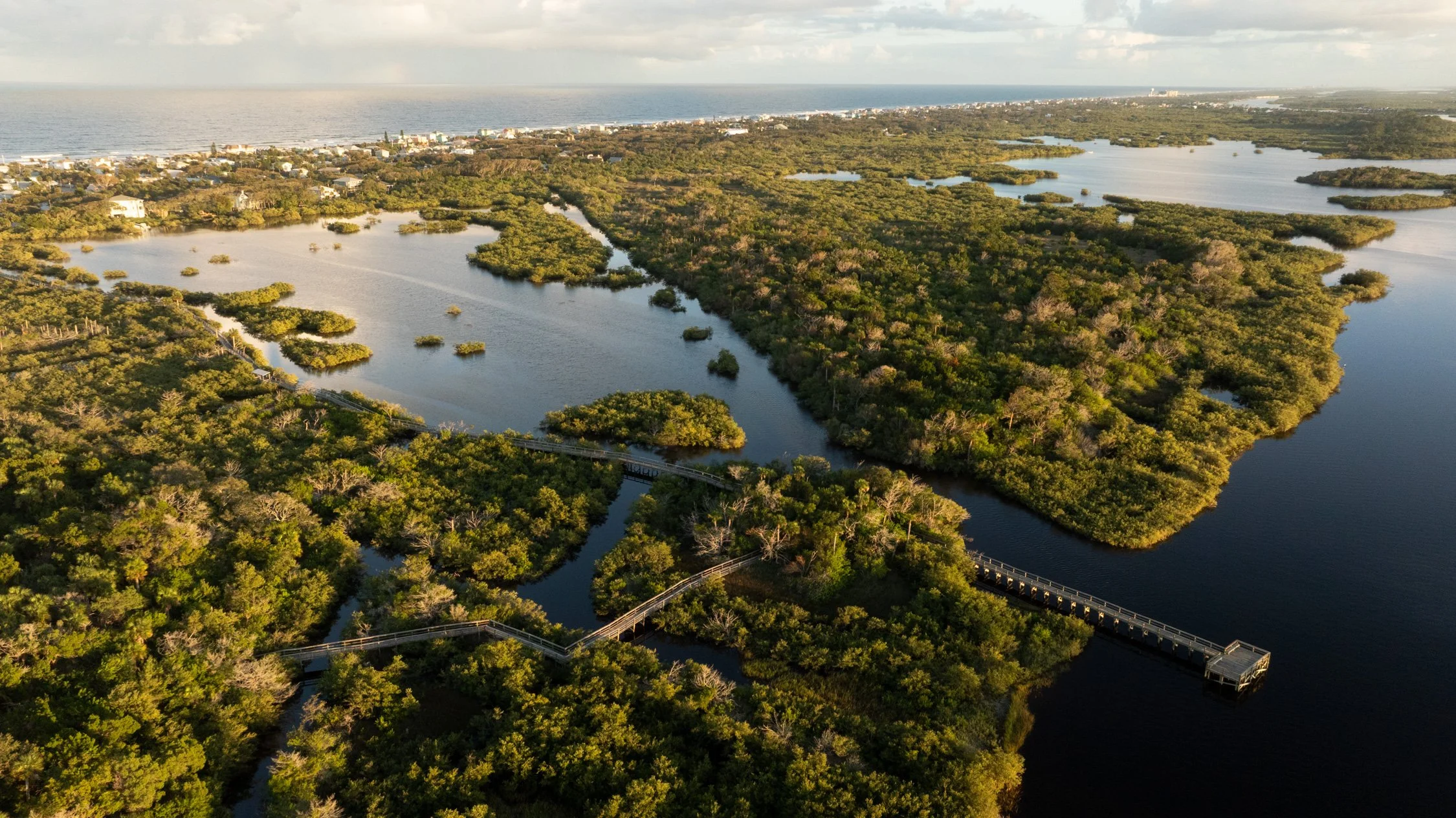 Aerial view of a lush coastal wetland with water channels and dense green trees, with a distant urban area and ocean in the background.