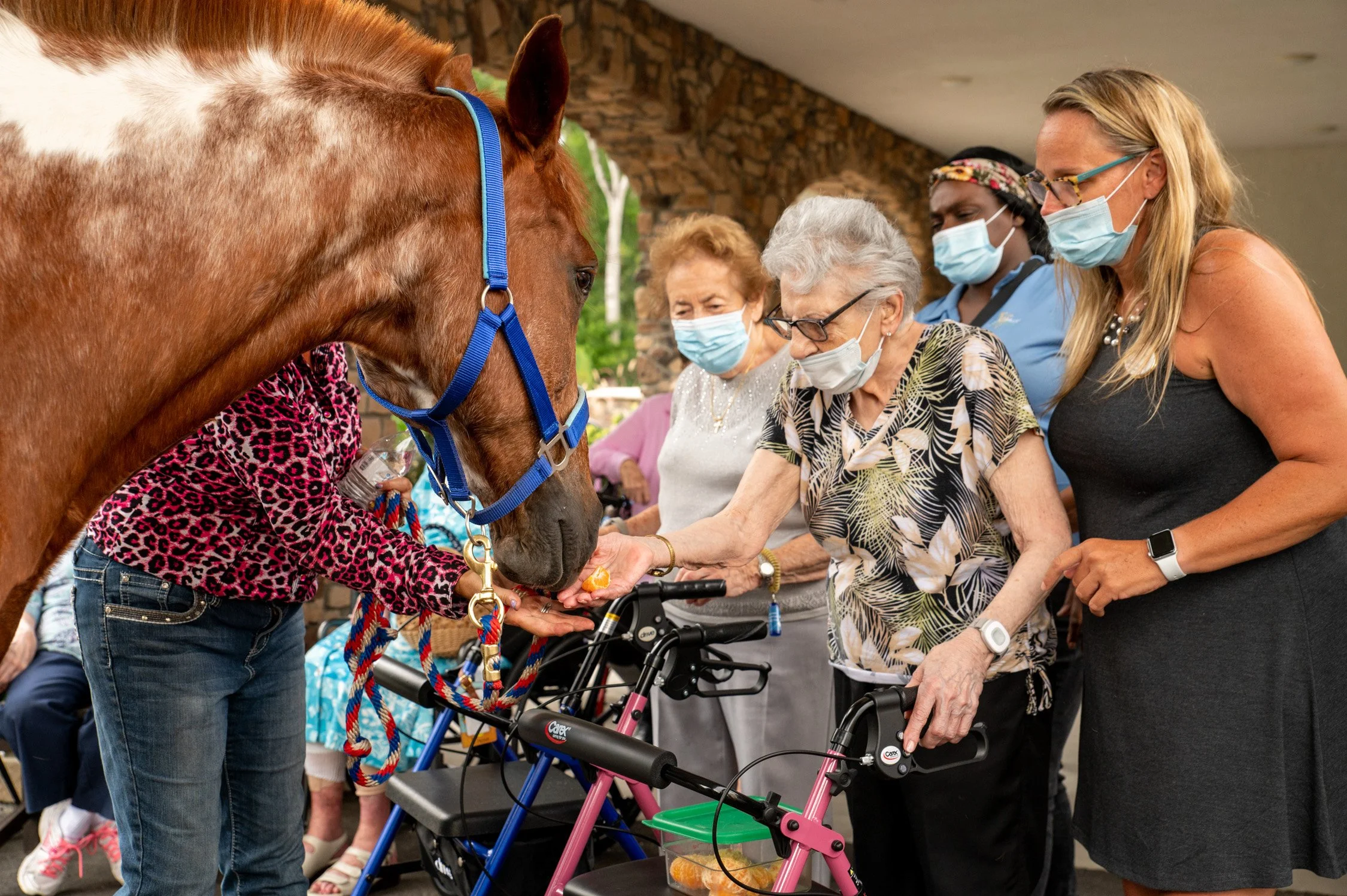 Group of elderly women and caregivers wearing face masks around a horse, with one elderly woman feeding the horse a treat.
