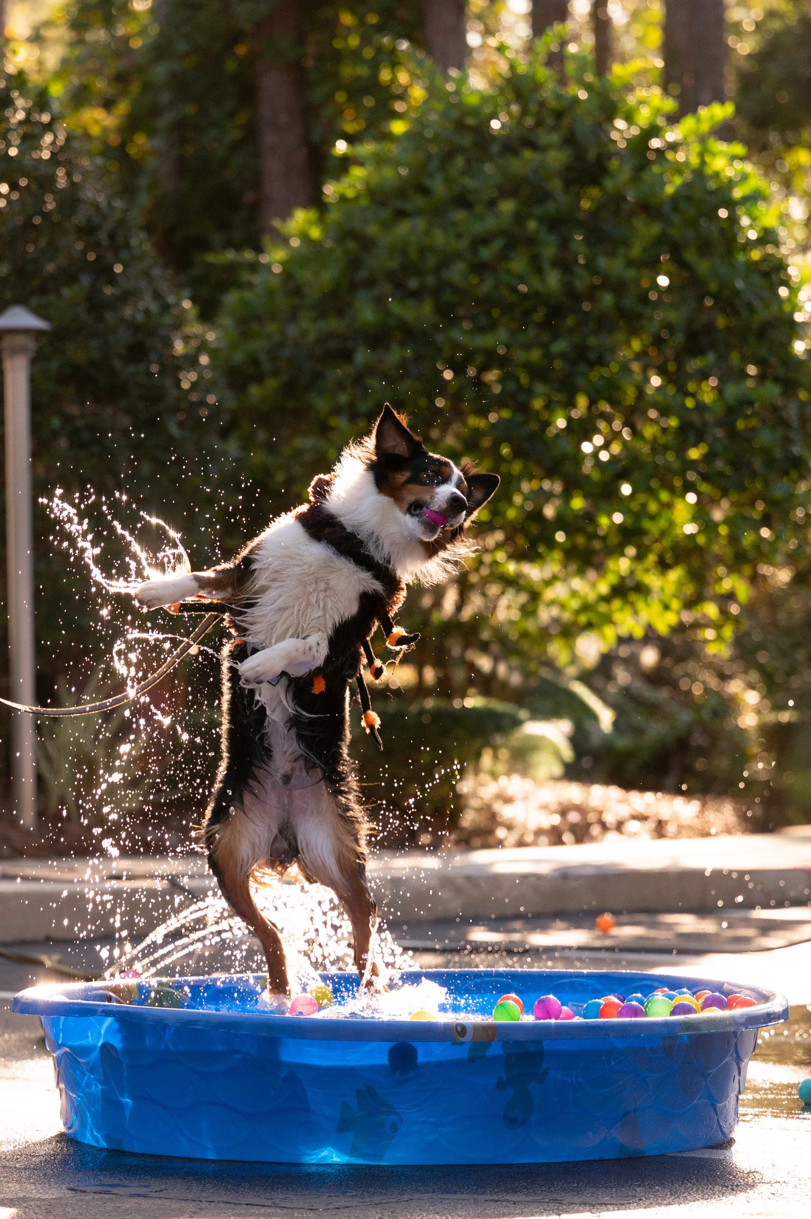 Barktoberfest 2025_101.jpg