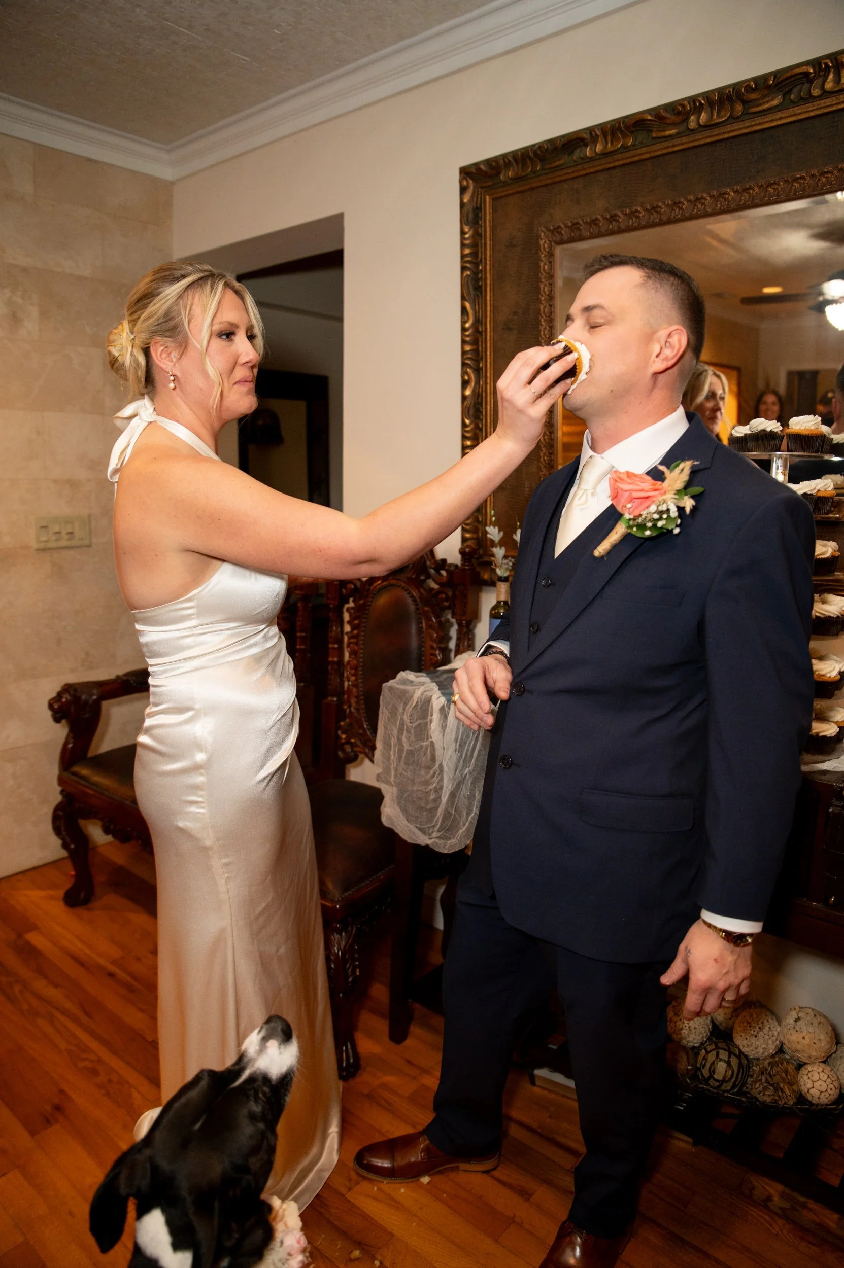 Bride feeding cake to groom at wedding reception, with dog on the floor looking up at them.