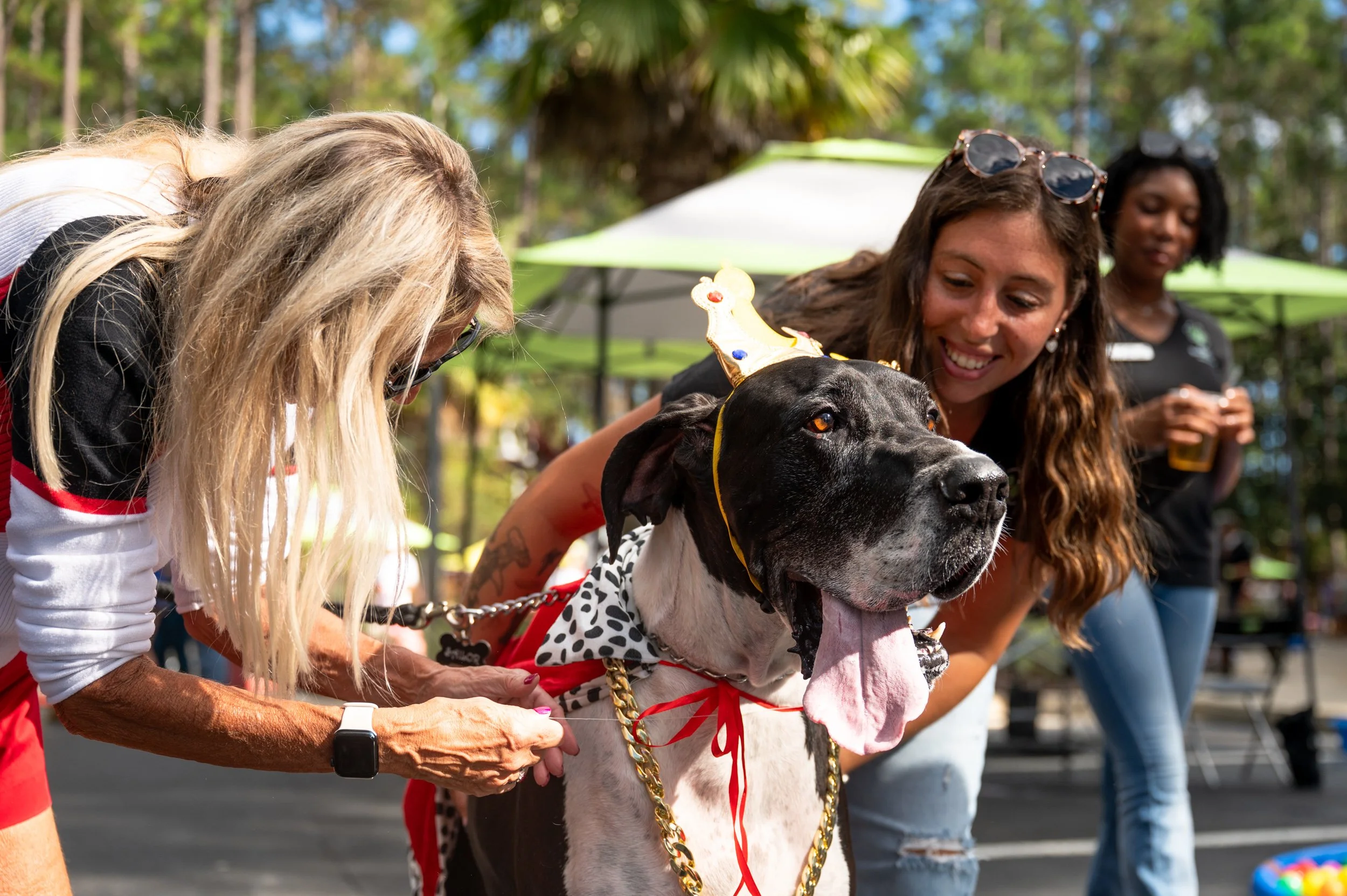 Barktoberfest 2025_34.jpg