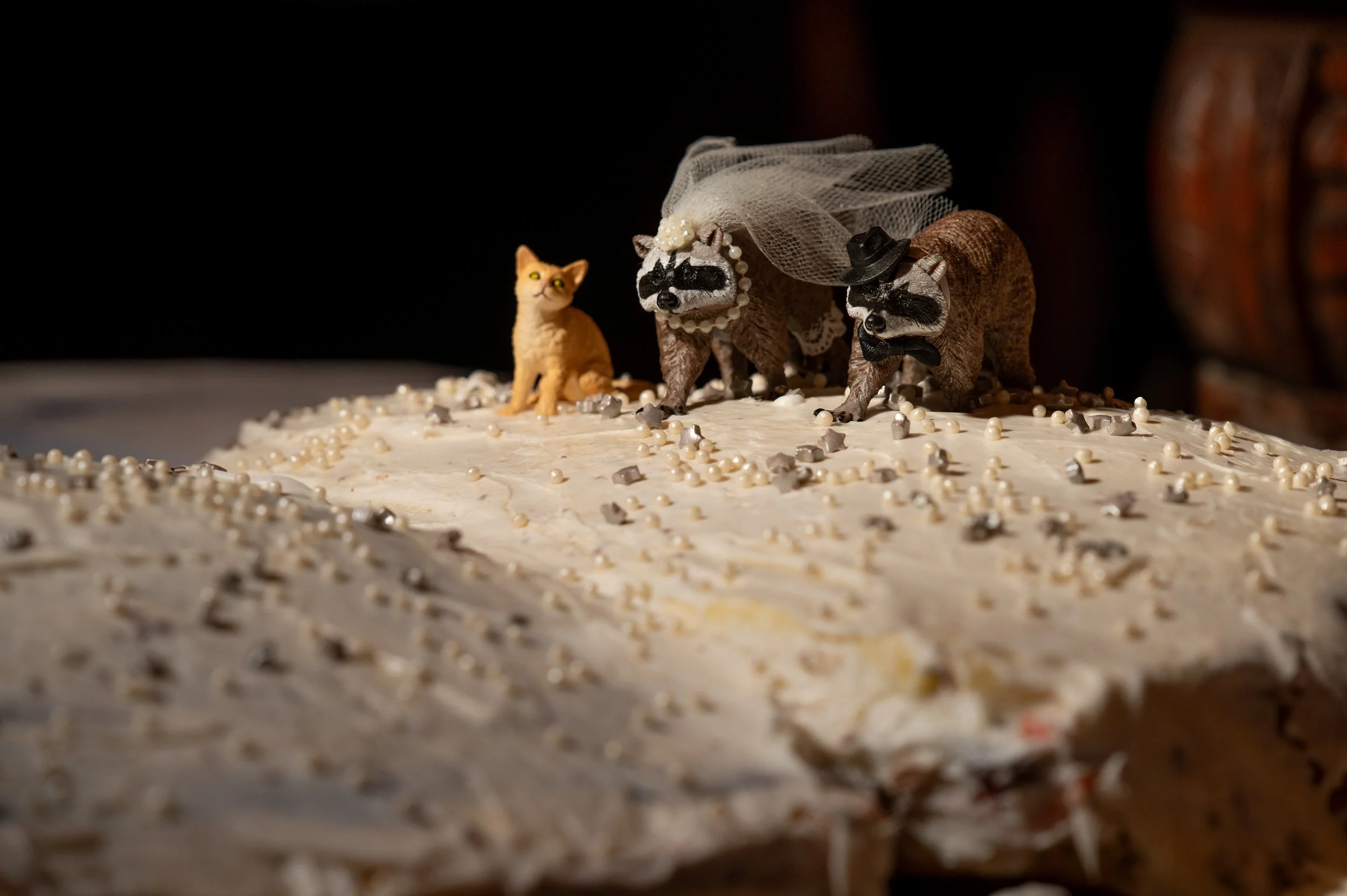 Micheal & Katrina-532.jpg