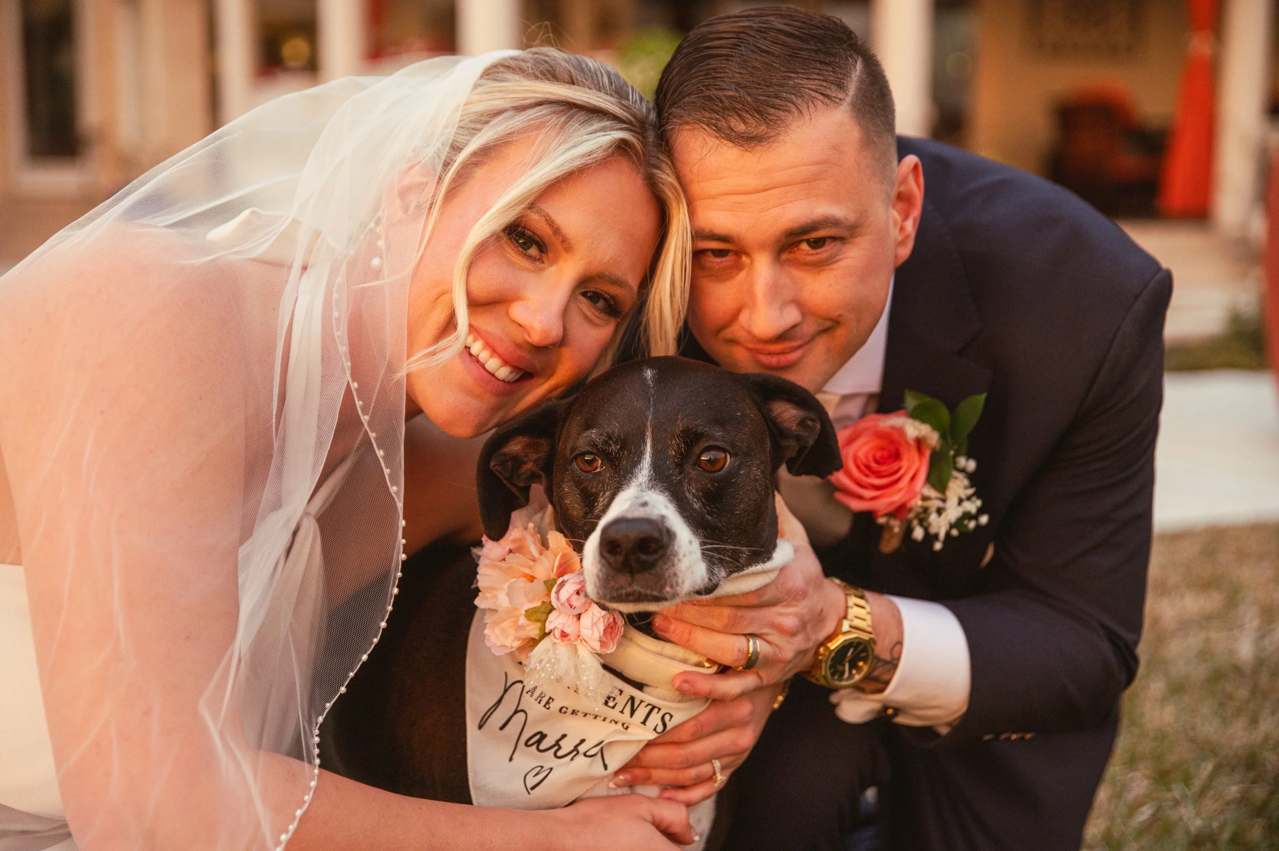 A bride and groom in wedding attire smiling with a black and white dog, all wearing floral accessories, posing for a photo outdoors.