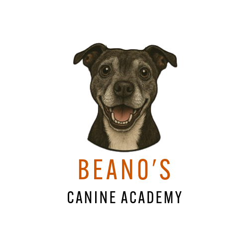 Beano&#39;s Canine Academy
