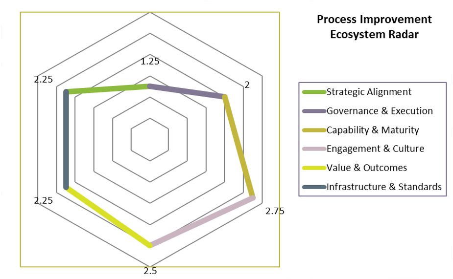 Radar chart illustrating process improvement ecosystem, with categories including Strategic Alignment, Governance & Execution, Capability & Maturity, Engagement & Culture, Value & Outcomes, and Infrastructure & Standards.