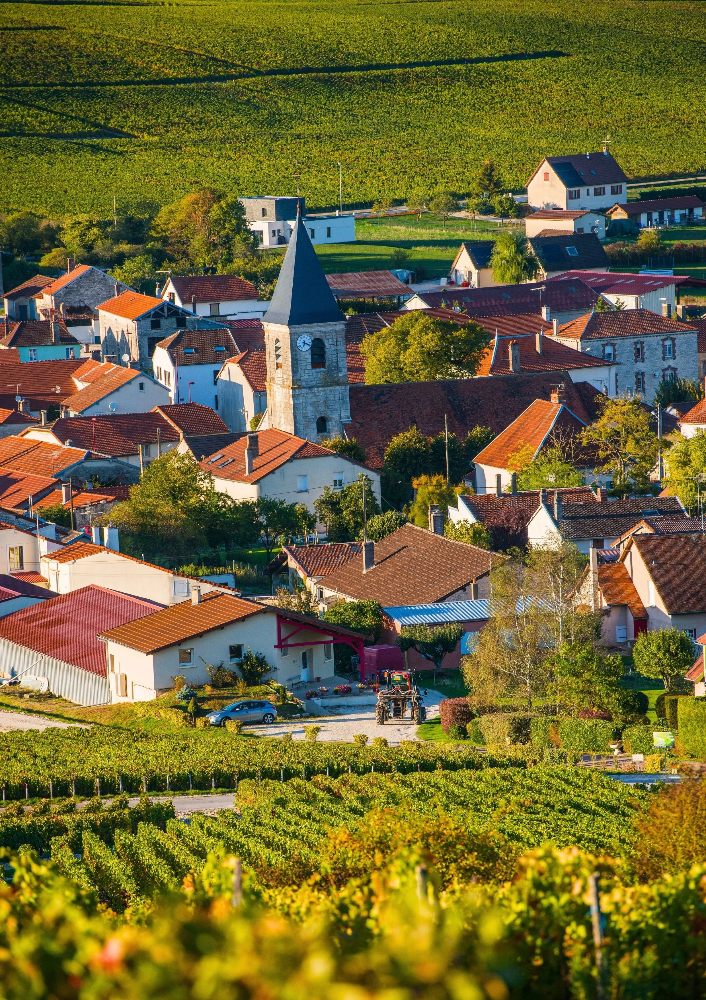 Vue panoramique d'un village avec une église et des maisons entourées de champs de vignes, ensoleillé.
