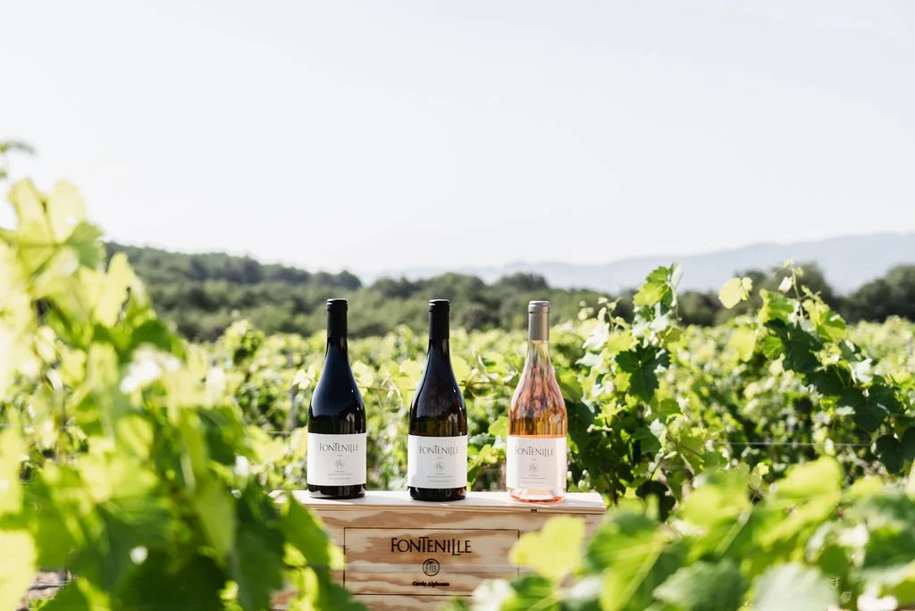 Wine Tasting - Domaine de Fontenille(1).jpg