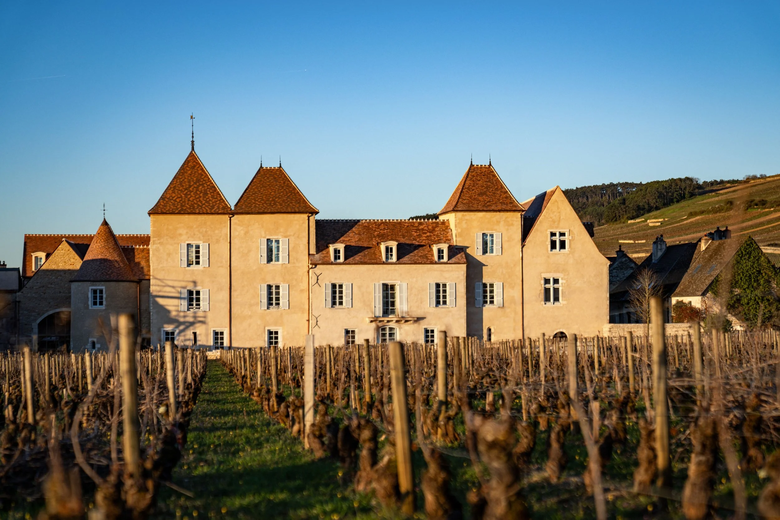 Château la Commaraine and its Clos PierreTual (2).jpg