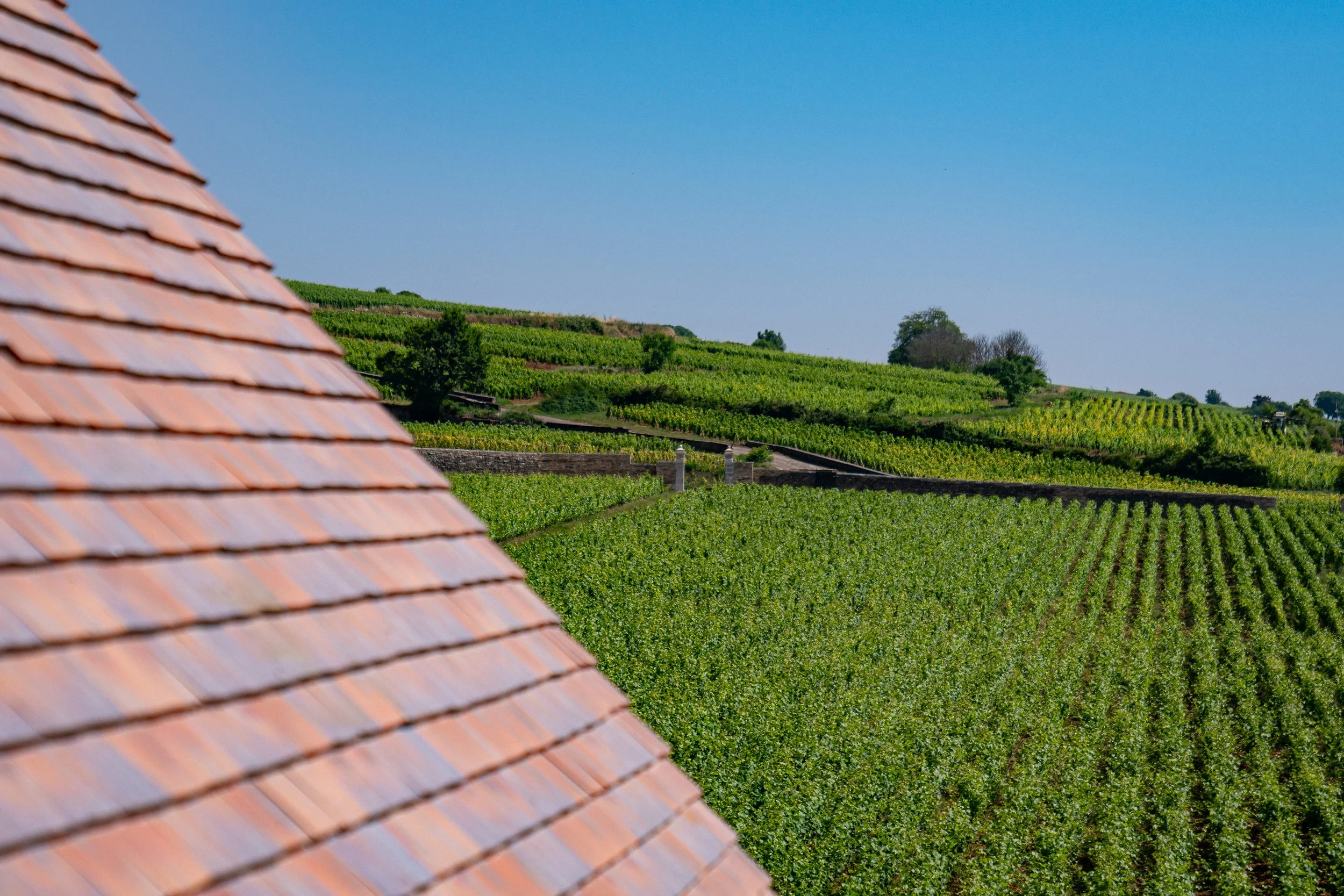 Château la Commaraine and its Clos PierreTual (1).jpg