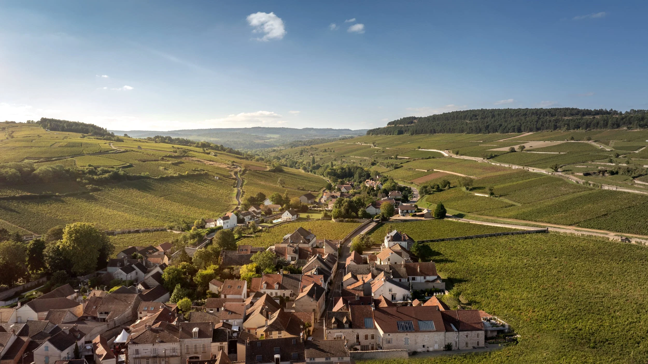 Burgundy vineyards - Aerial views (7).jpg