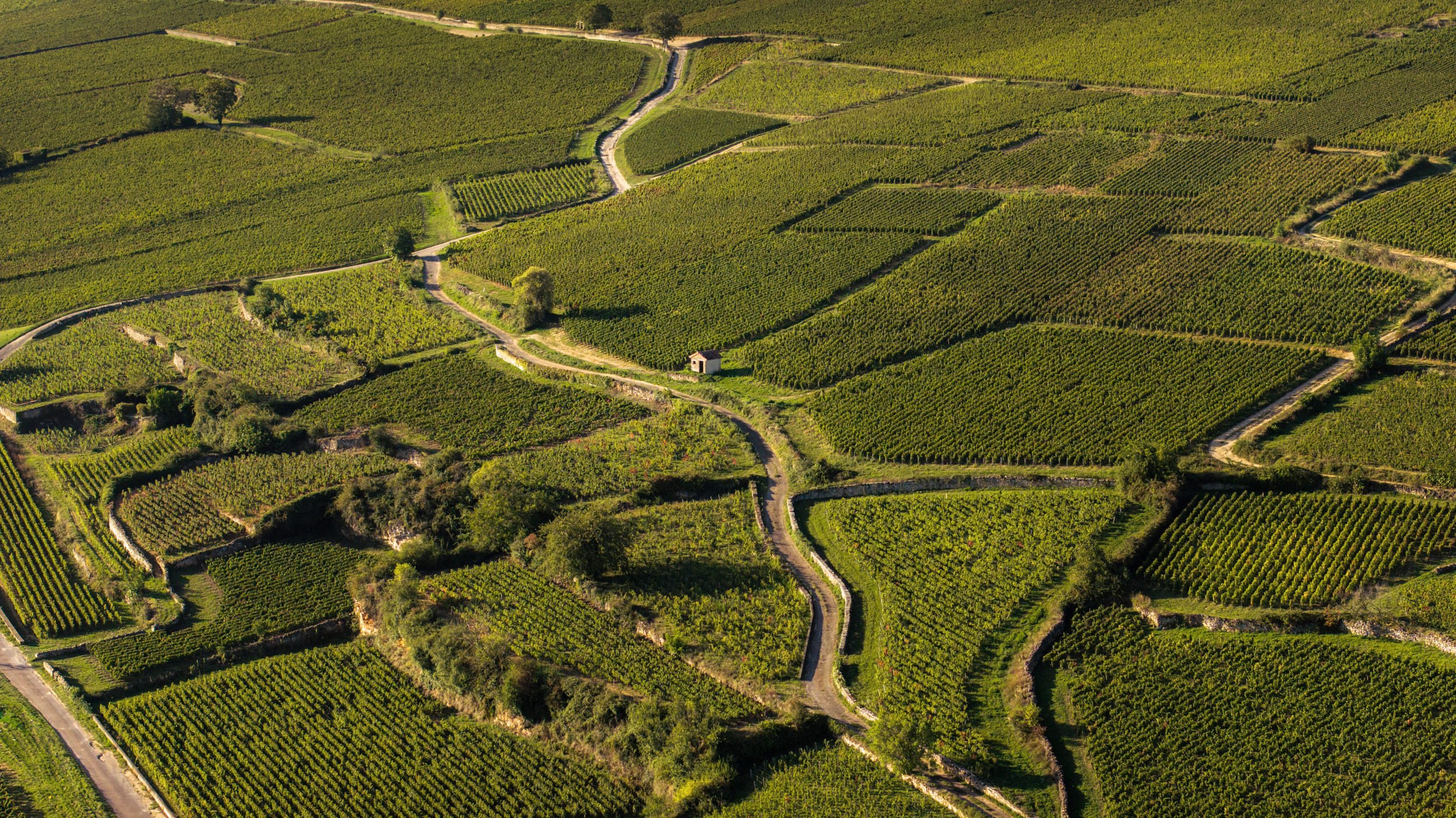 Burgundy vineyards - Aerial views (4).jpg