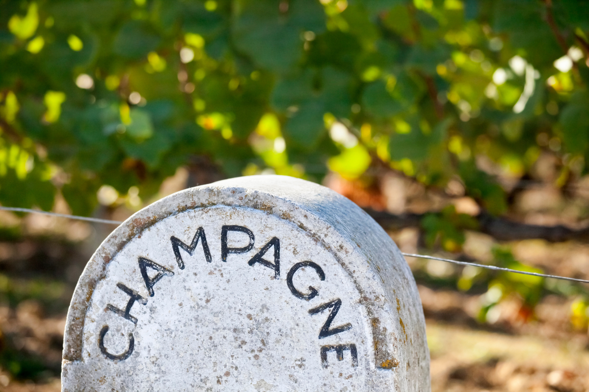 champagne-stone-road-sign-vineyard.png