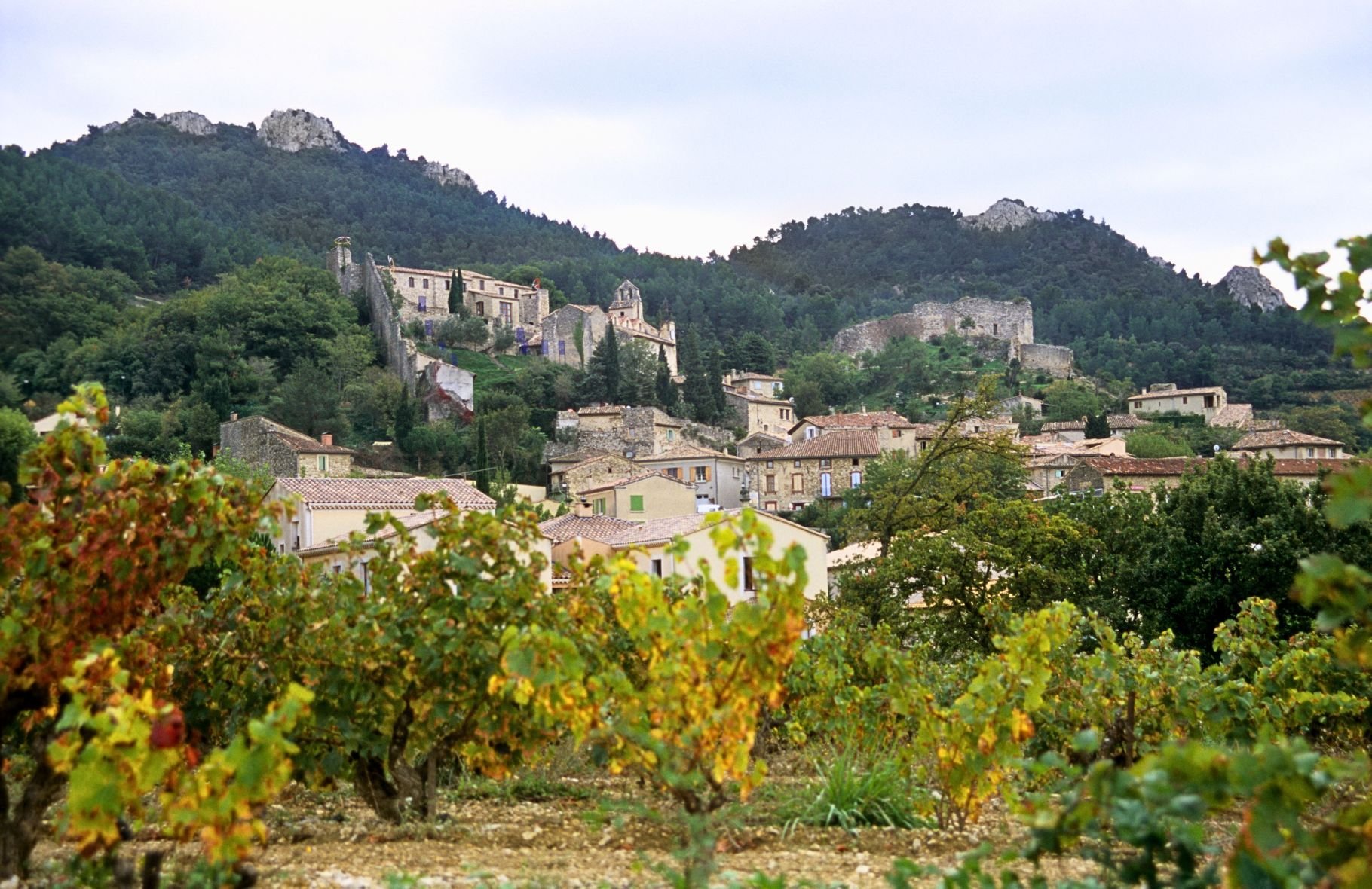 Provence_Gigondas.jpg