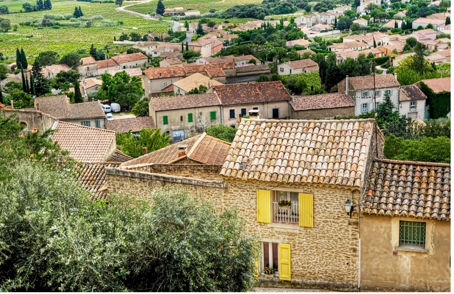 Châteauneuf du Pape.jpg