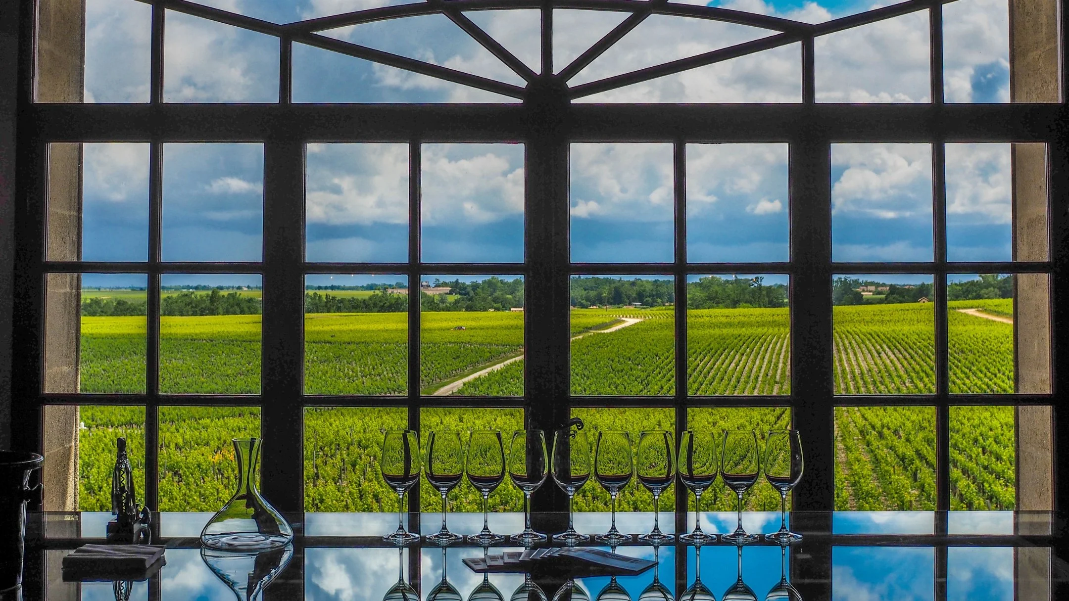 bordeaux-vignard view.jpg