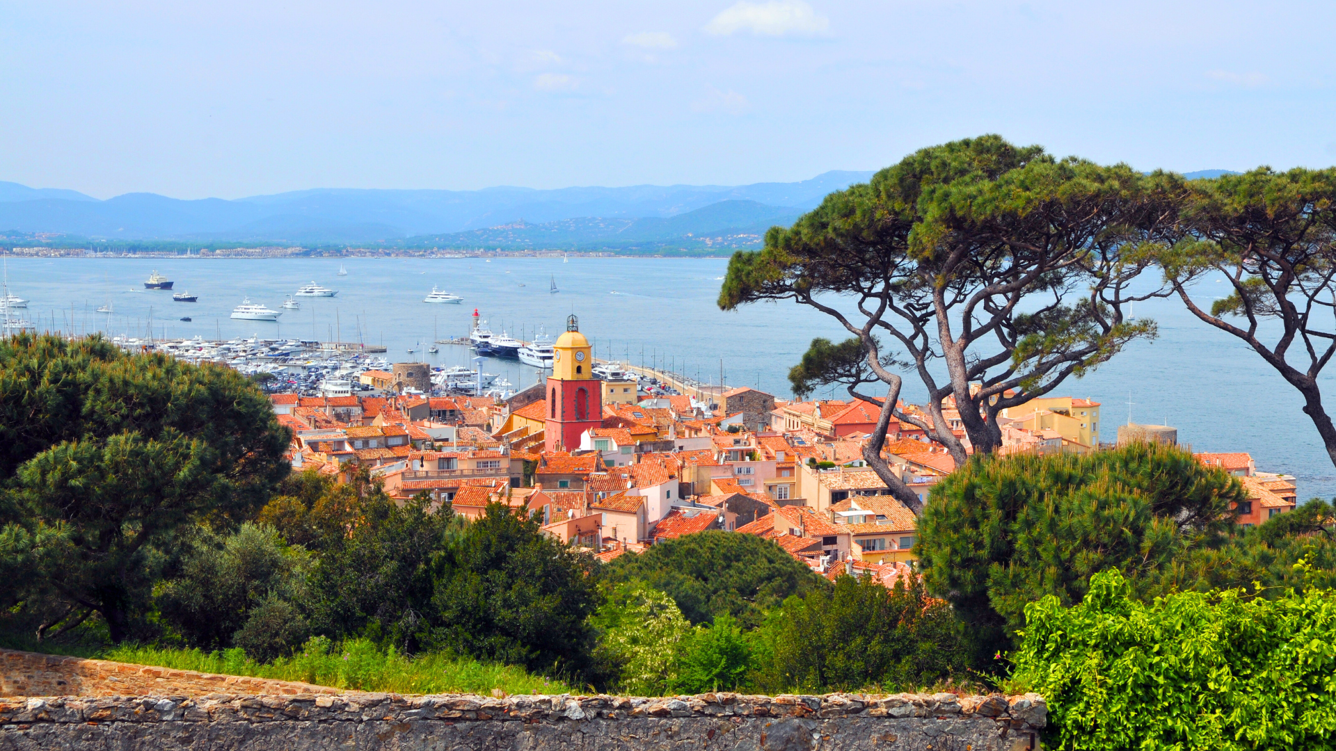 Website Selection photo LANDSCAPE 2026 (6).png