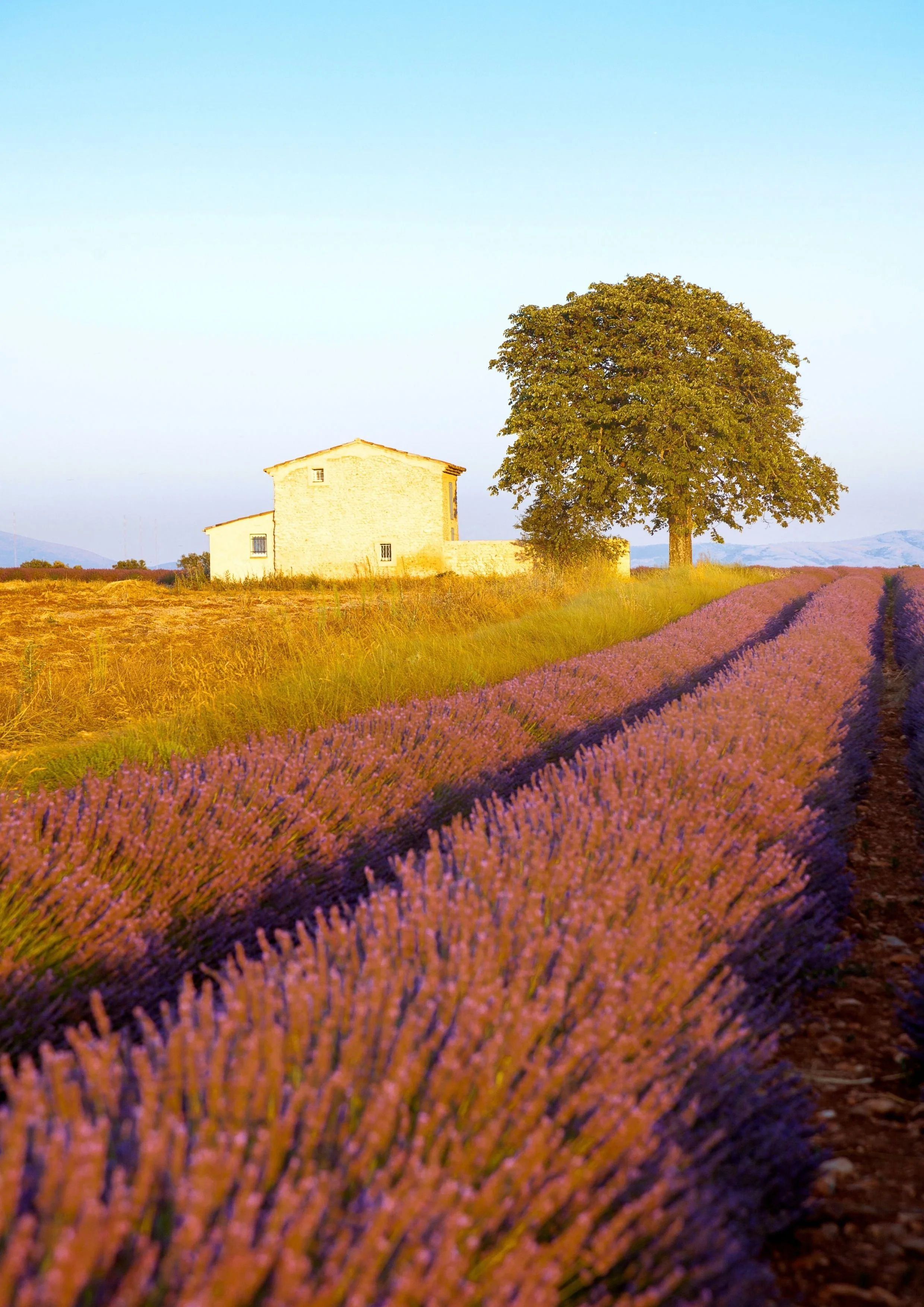 Provence Classic Collection experiences – Luxury travel in France