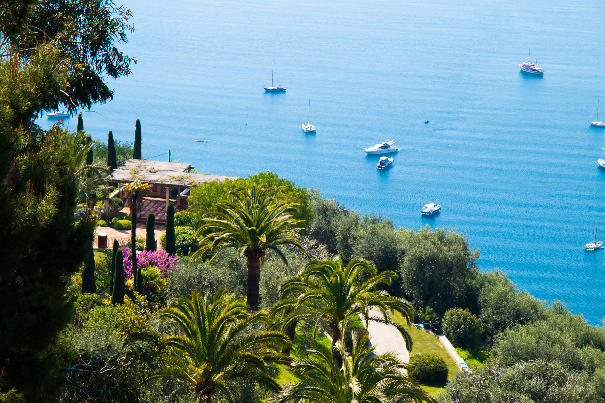 Vue d'une côte méditerranéenne avec des palmiers, des yachts et la mer bleue.