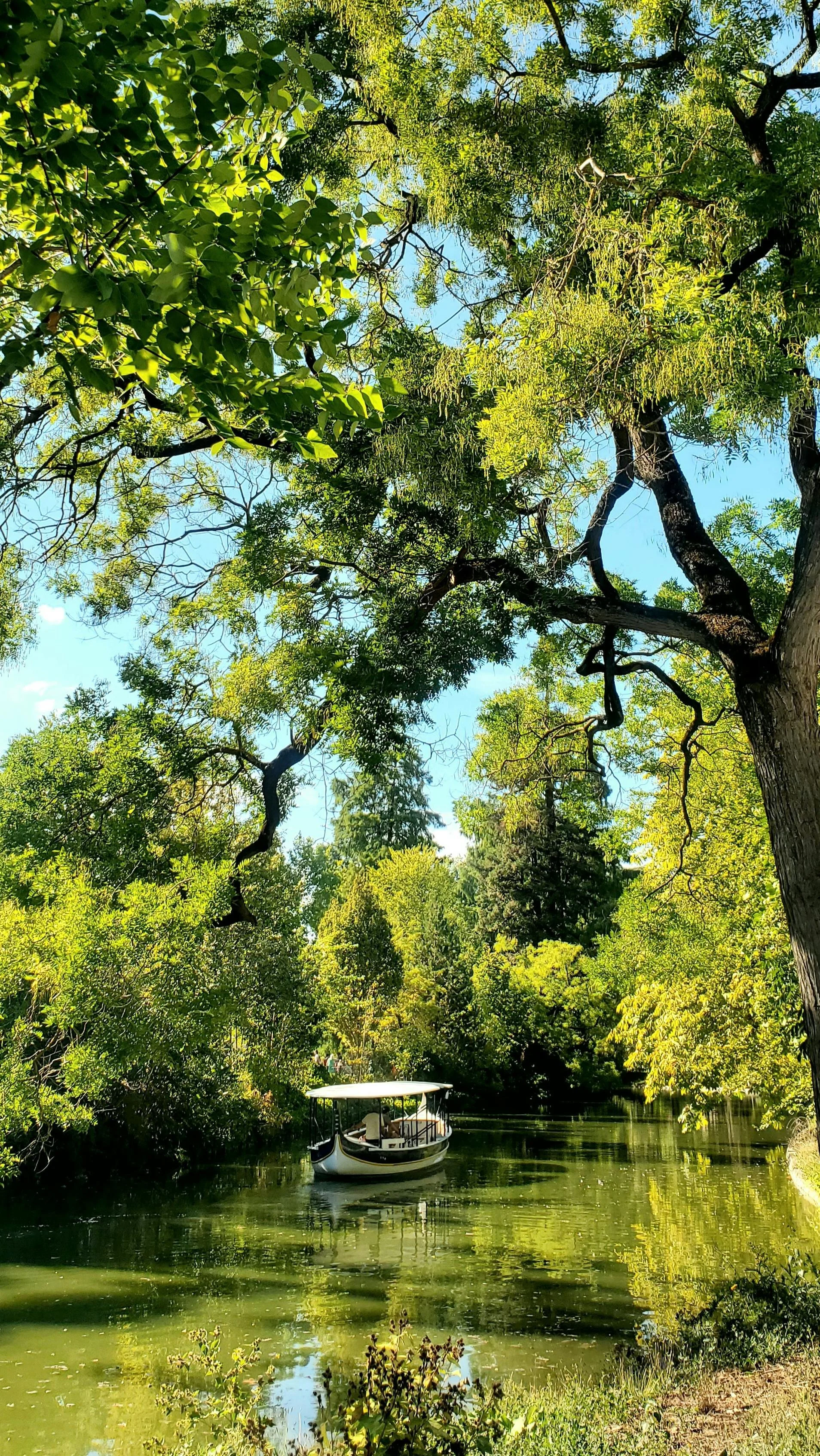 Riviera themed group travel itineraries