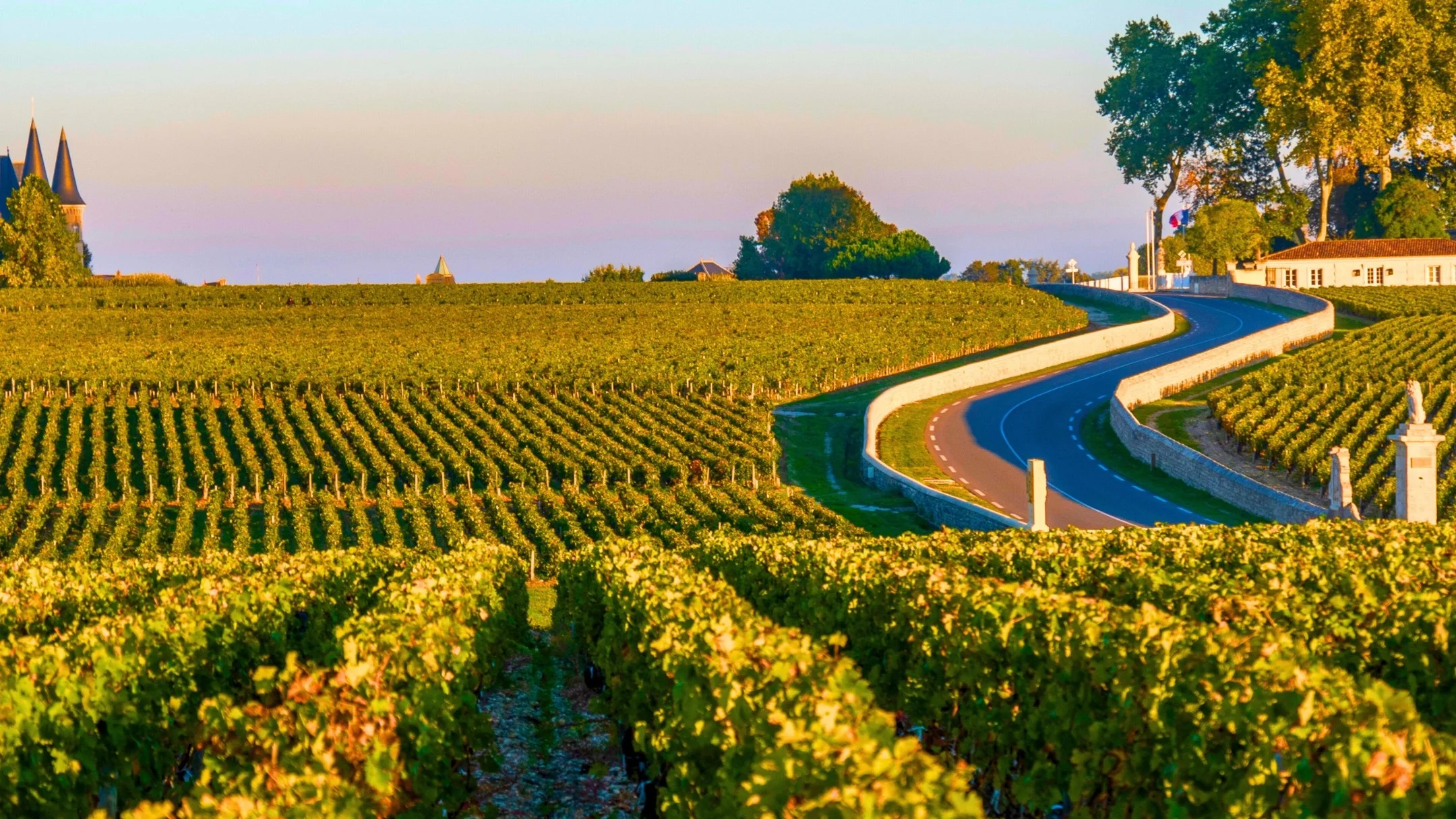 bordeaux-vignard road.jpg