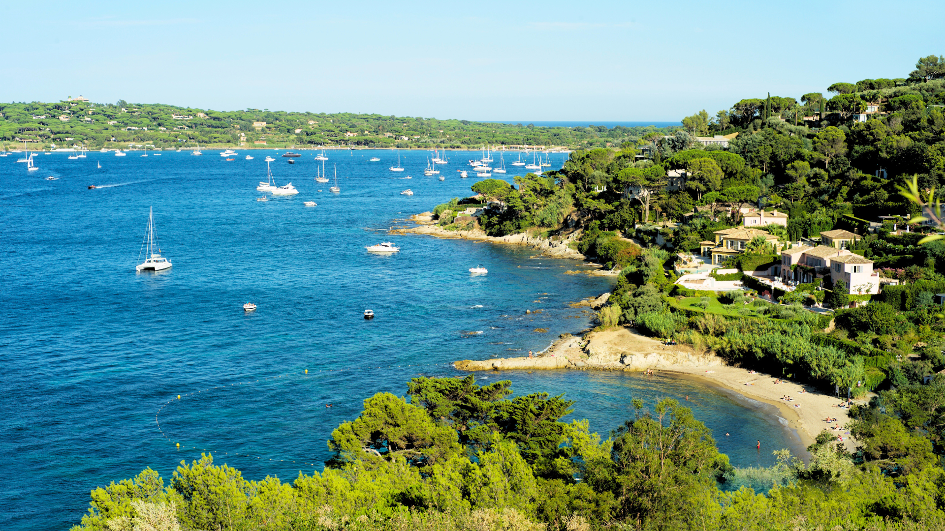 Website Selection photo LANDSCAPE 2026 (7).png