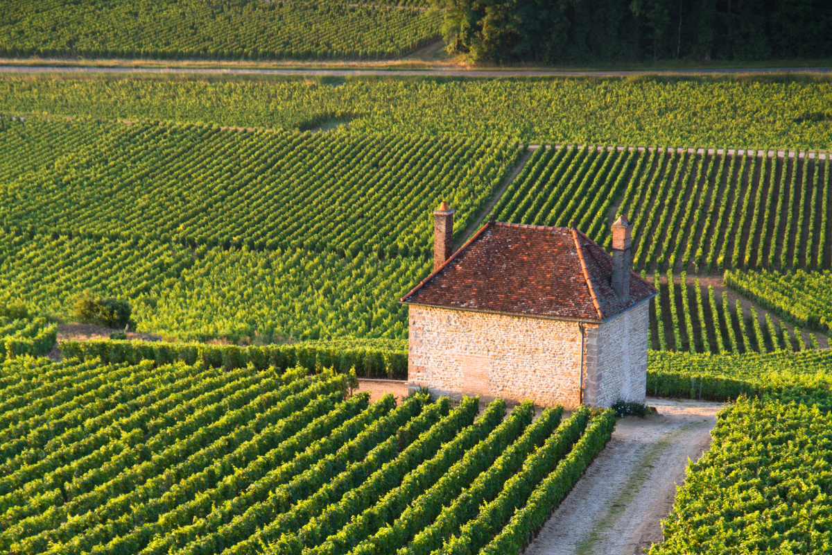 Burgundy themed group travel itineraries