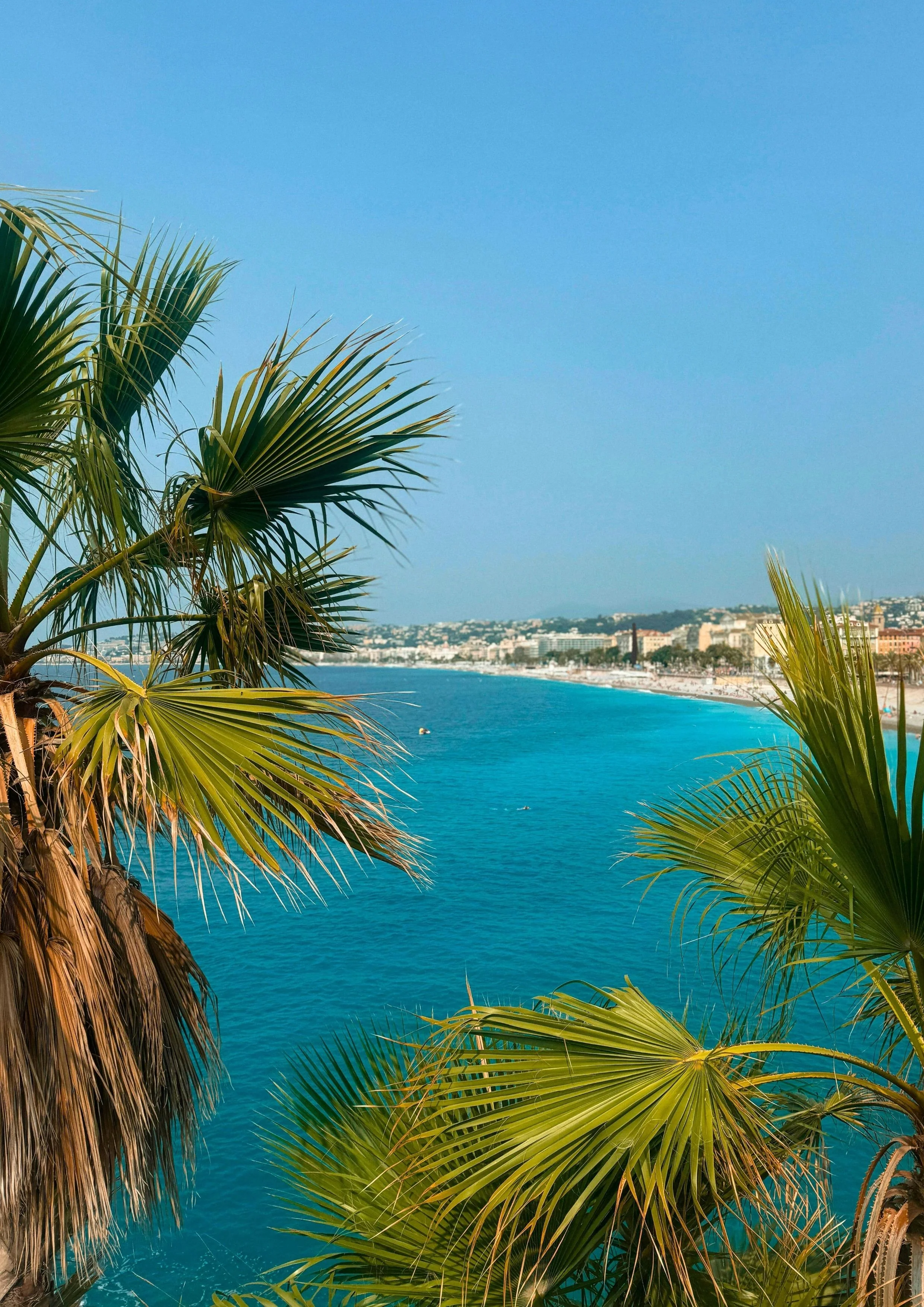 Plage en bord de mer vue depuis haut avec palmiers en premier plan, ville en arrière-plan, ciel clair.