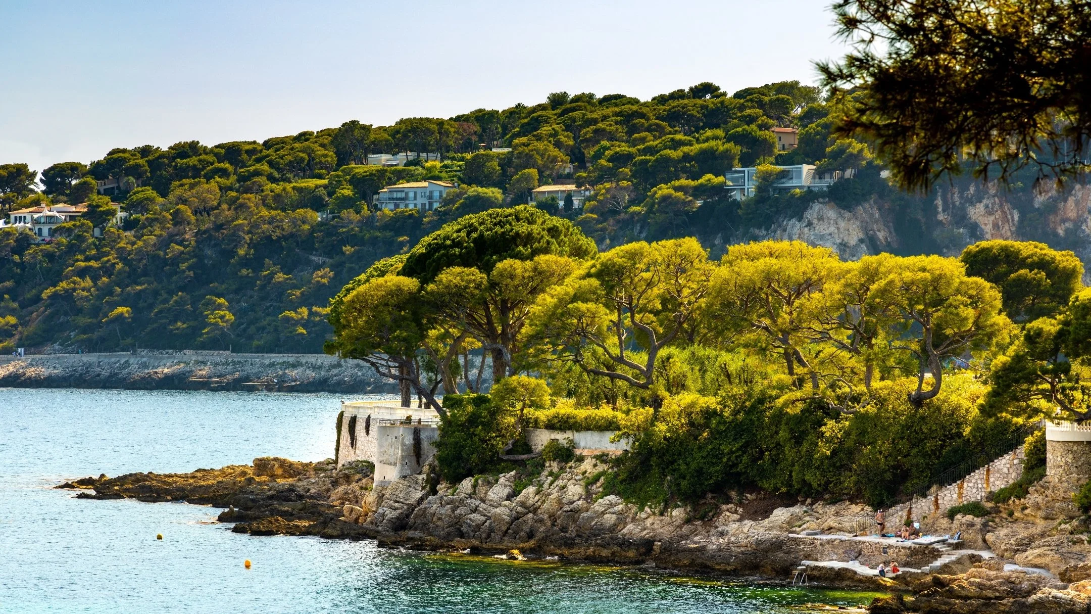 Coastal scene with rocky shoreline, green trees, calm water, and hillside homes in the background.