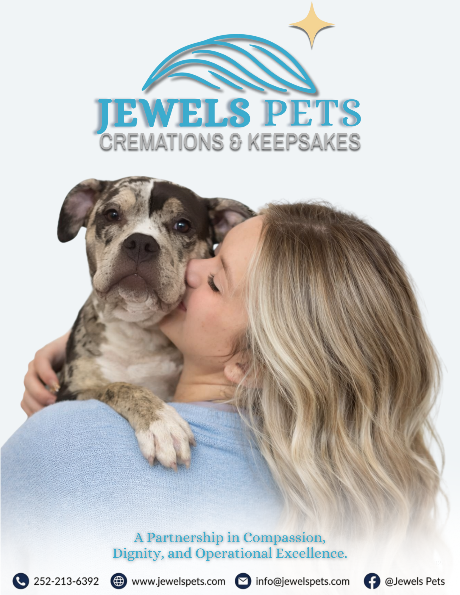 Business Portfolio

An overview of our mission, standards, leadership, technology, and veterinary partnerships that define the Jewels Pets difference.