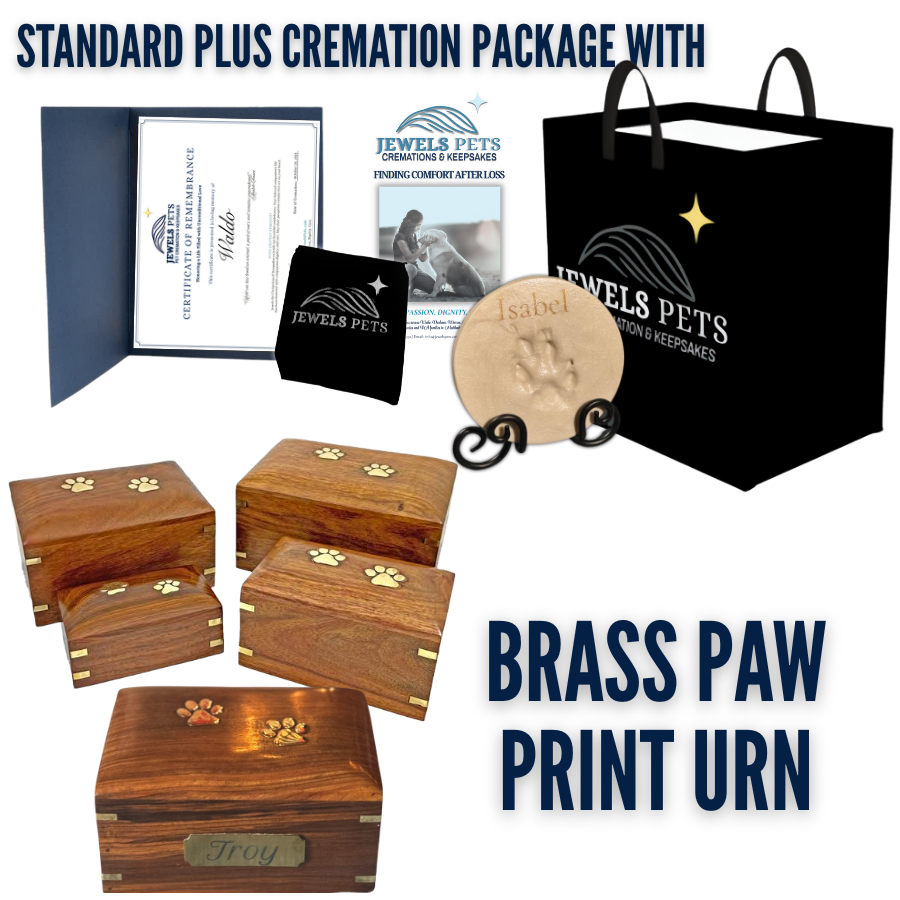 Standard PLUS Cremation Package with Cat Silhouette Urn