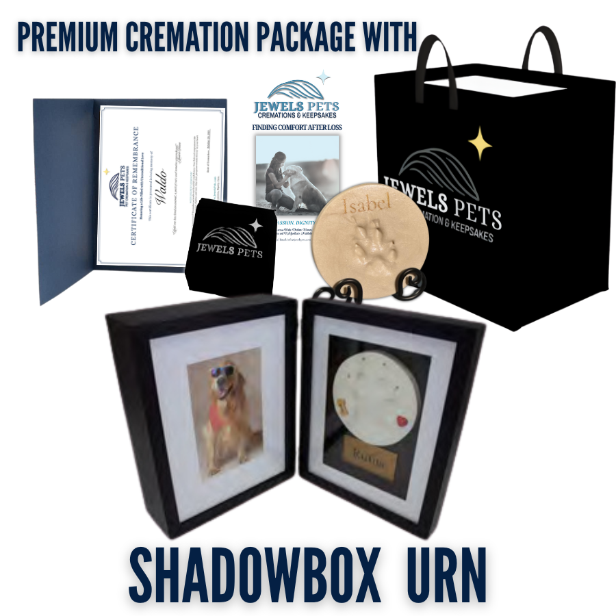 Premium Cremation Package with Shadowbox Urn
