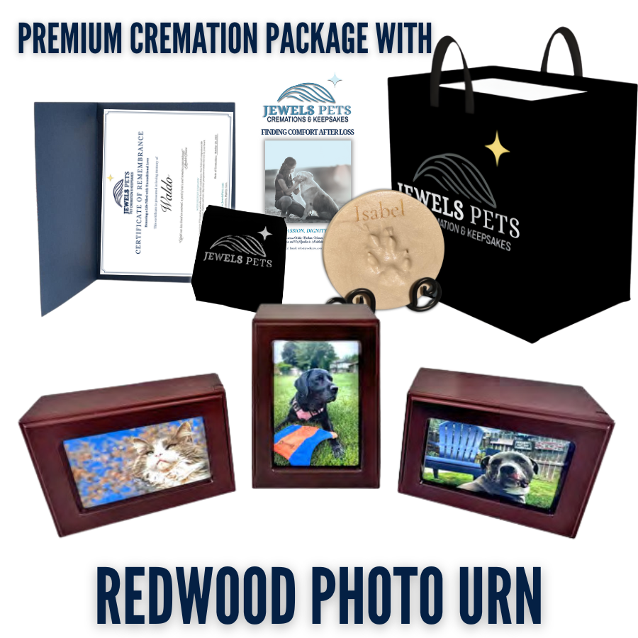 Premium Cremation Package with Redwood Photo Urn