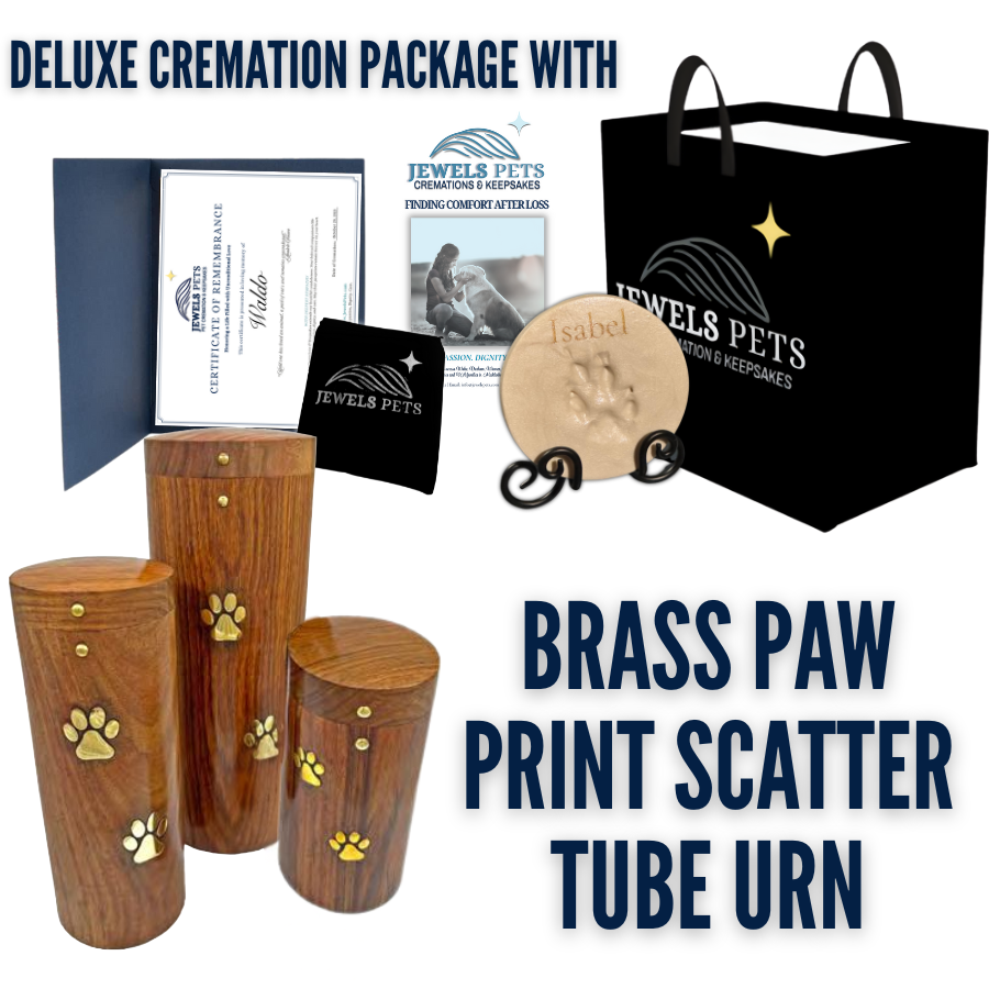 DELUXE Cremation Package with Brass Paw Print Scatter Tube Urn