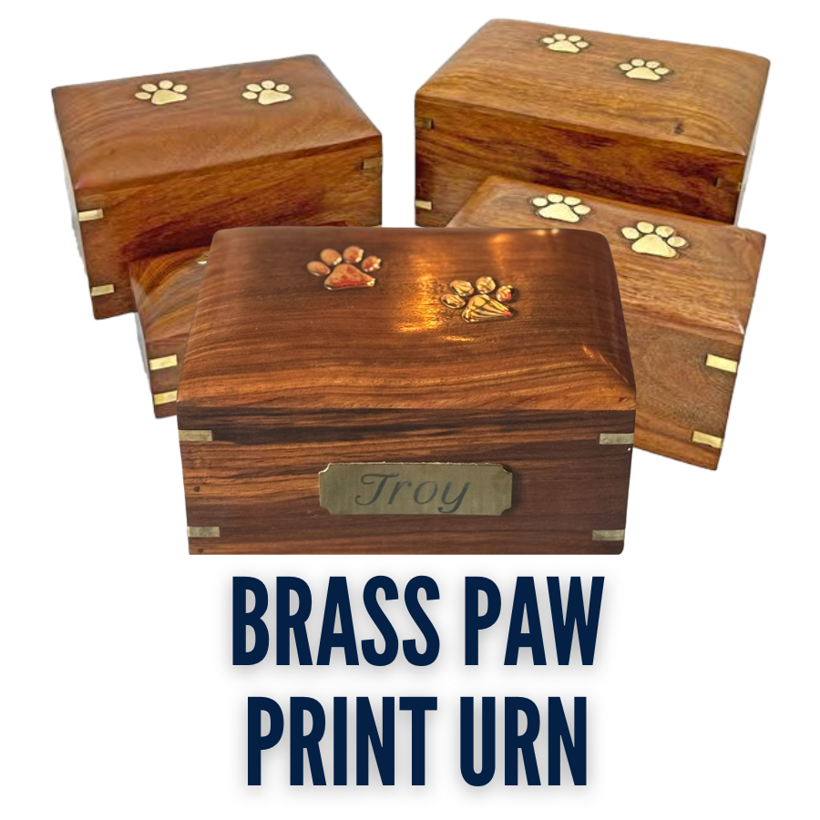 Brass Paw Print Urn