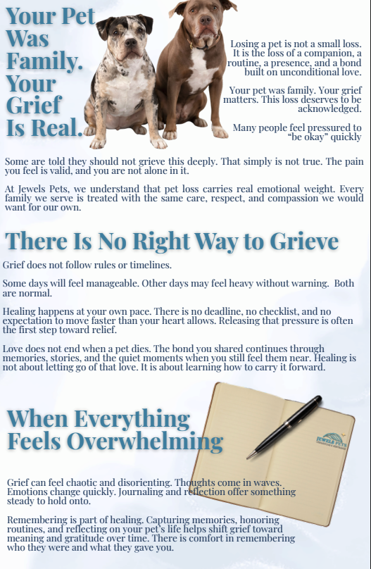 Finding Comfort After Loss

A grief support guide offering reassurance, validation, and information about how we care for pets and families.