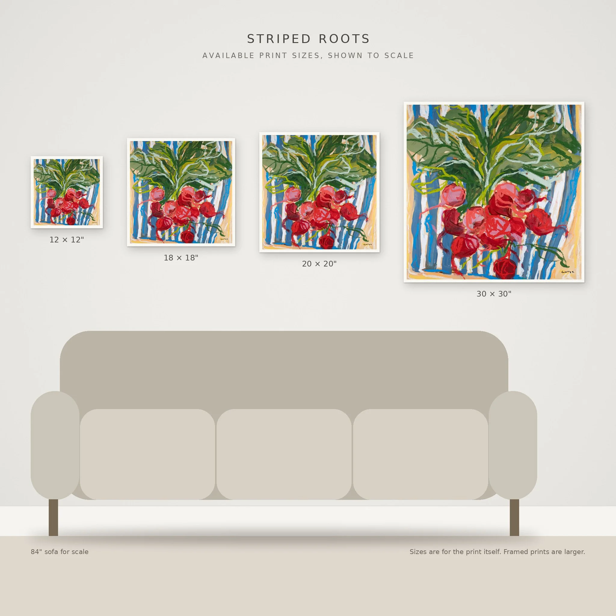 striped-roots_4_size-chart.jpg