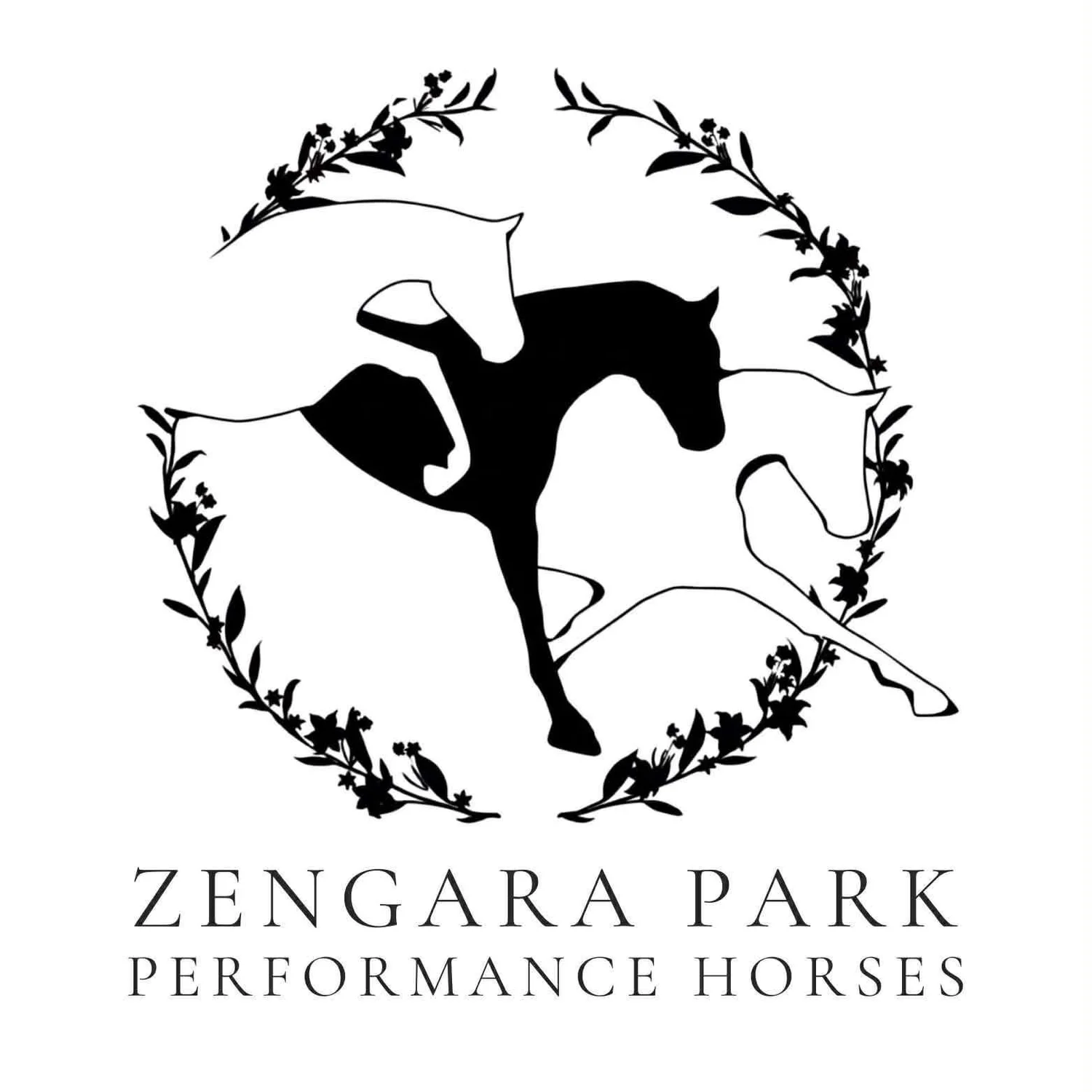 Zengara Park Performance Horses