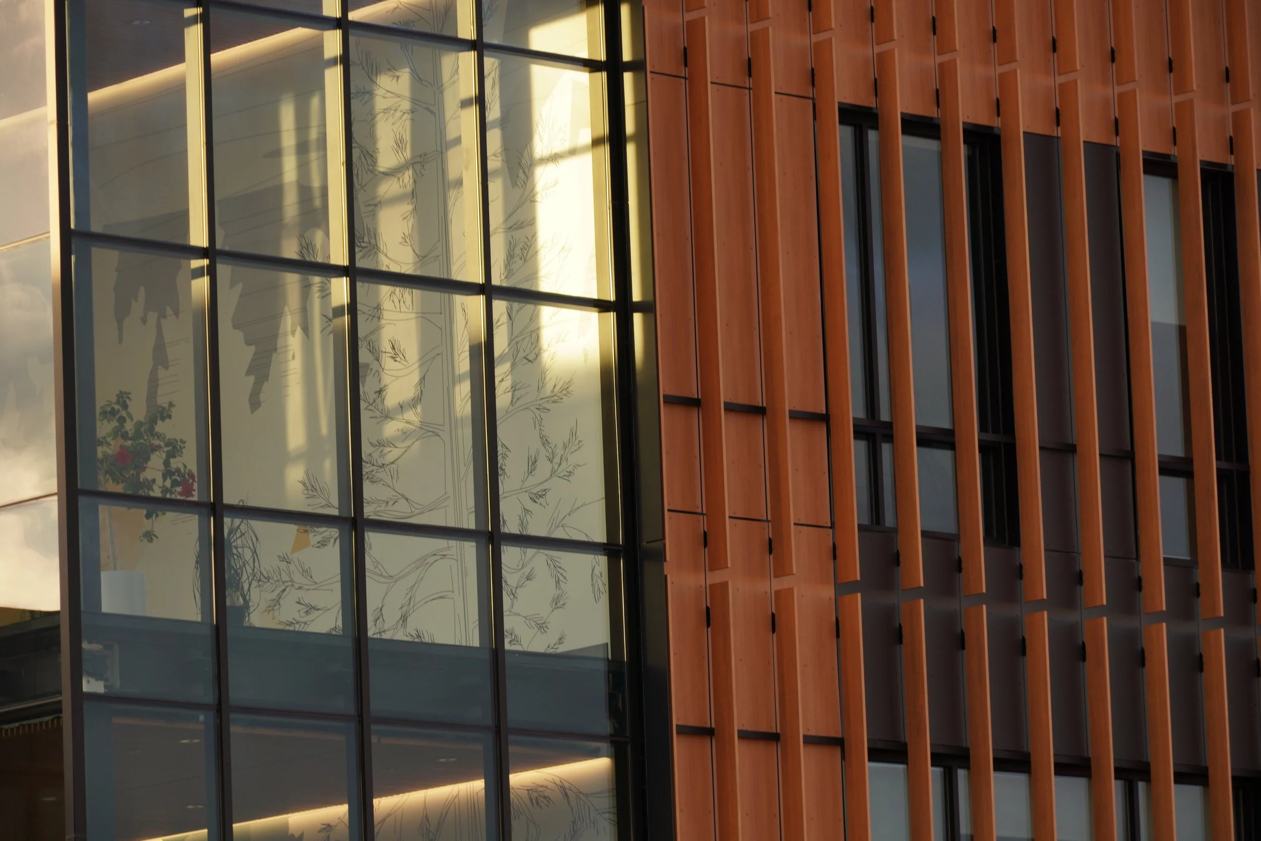 Biophilic environmental graphic used in a transparent stair tower at Student Wellness Center demonstrating quality assurance.