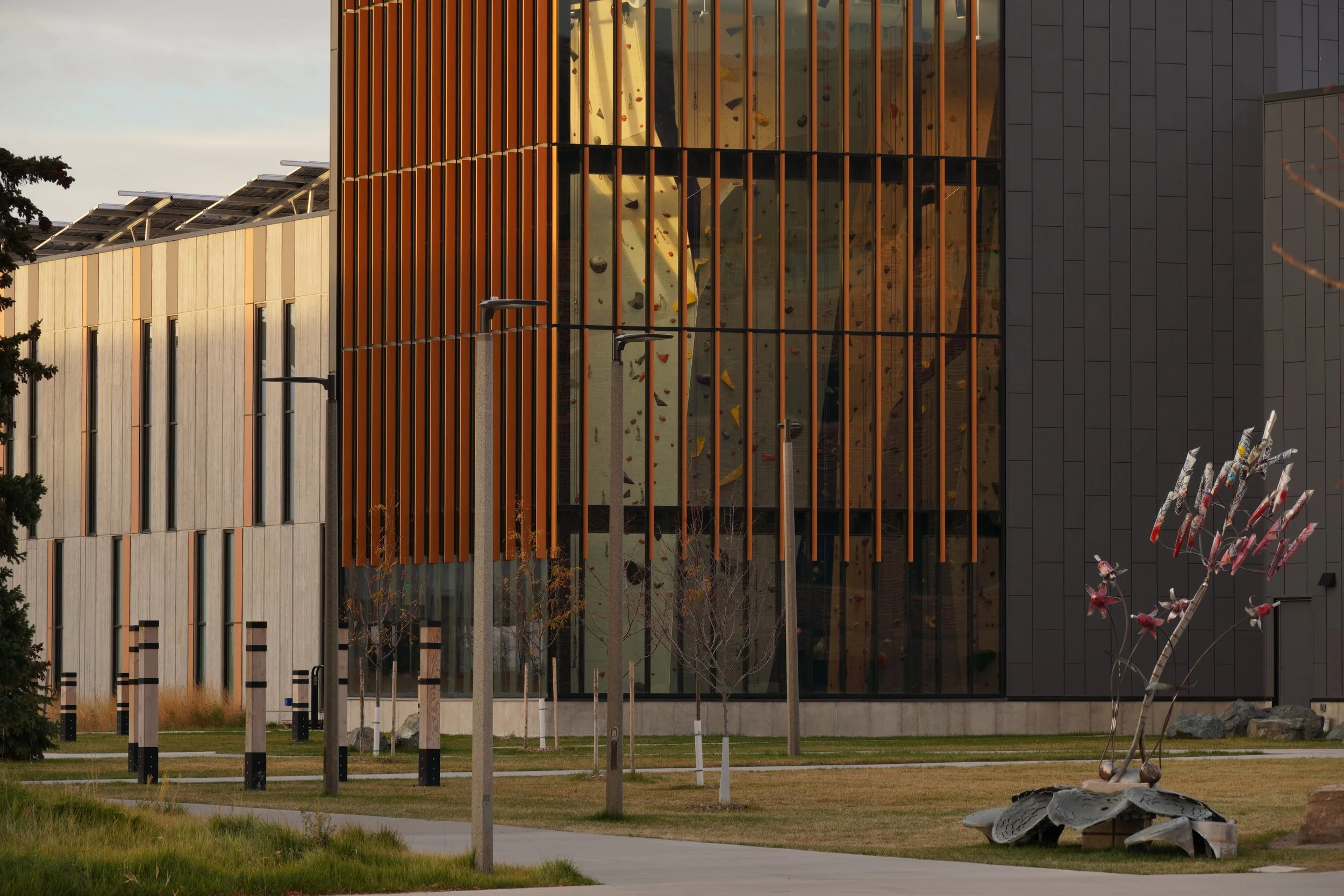Climbing wall and public art at the MSU Student Wellness Center showing integrated design and construction management services.