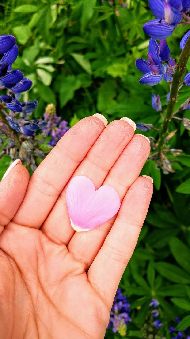 Usui/Holy Fire III Reiki Level 1 &amp; 2