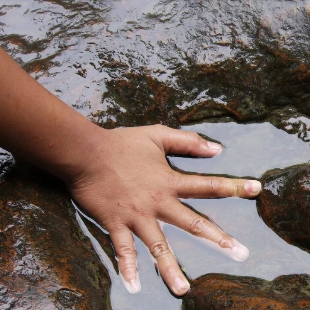 dinosaurier - sq.jpg