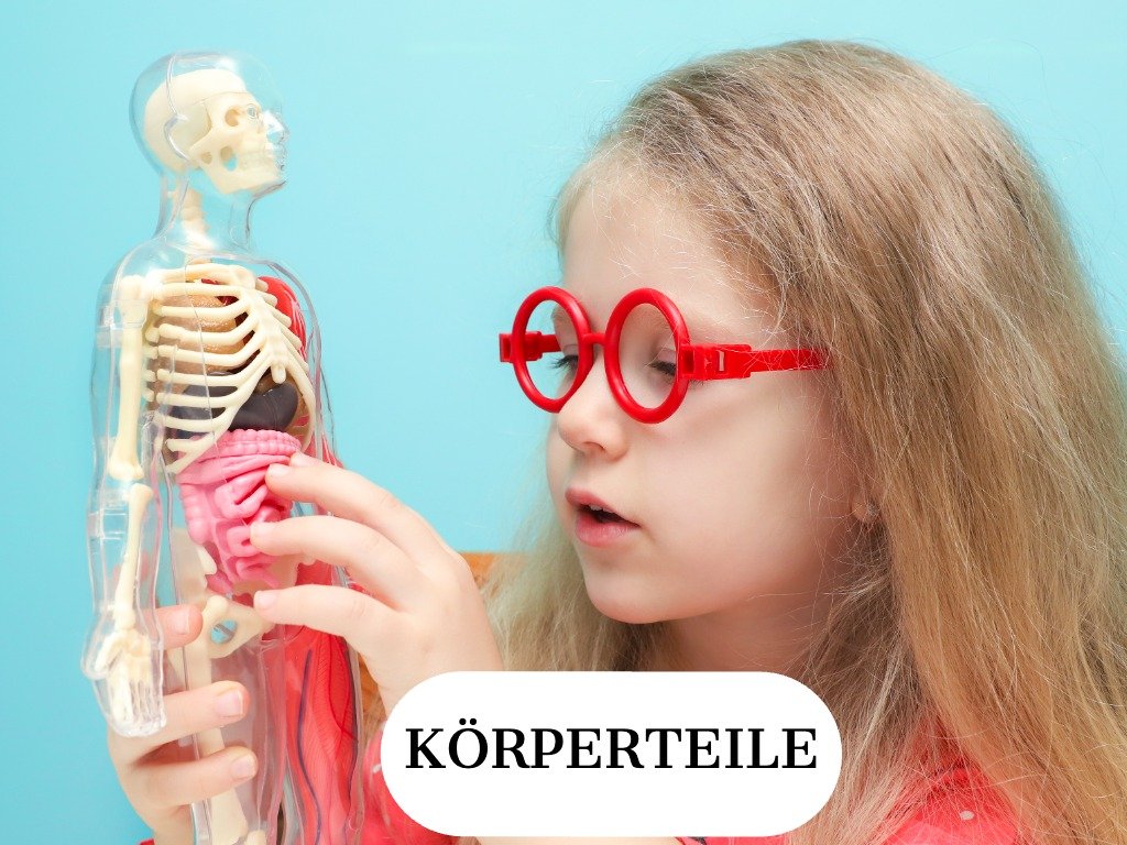 Week 5 - Summer Camp - Körperteile