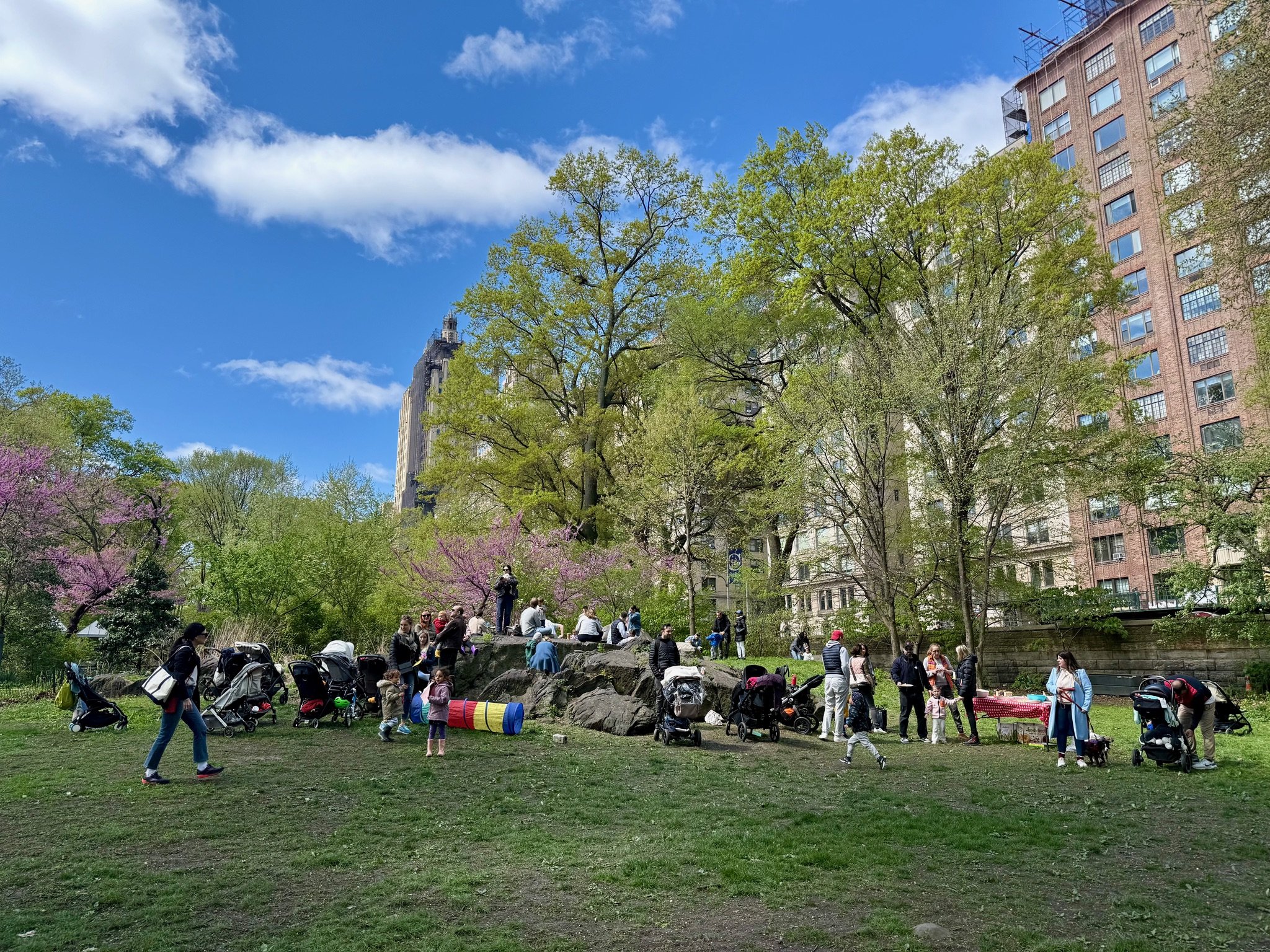 Rella's Ostereiersuchen 2025.jpeg (Copy)