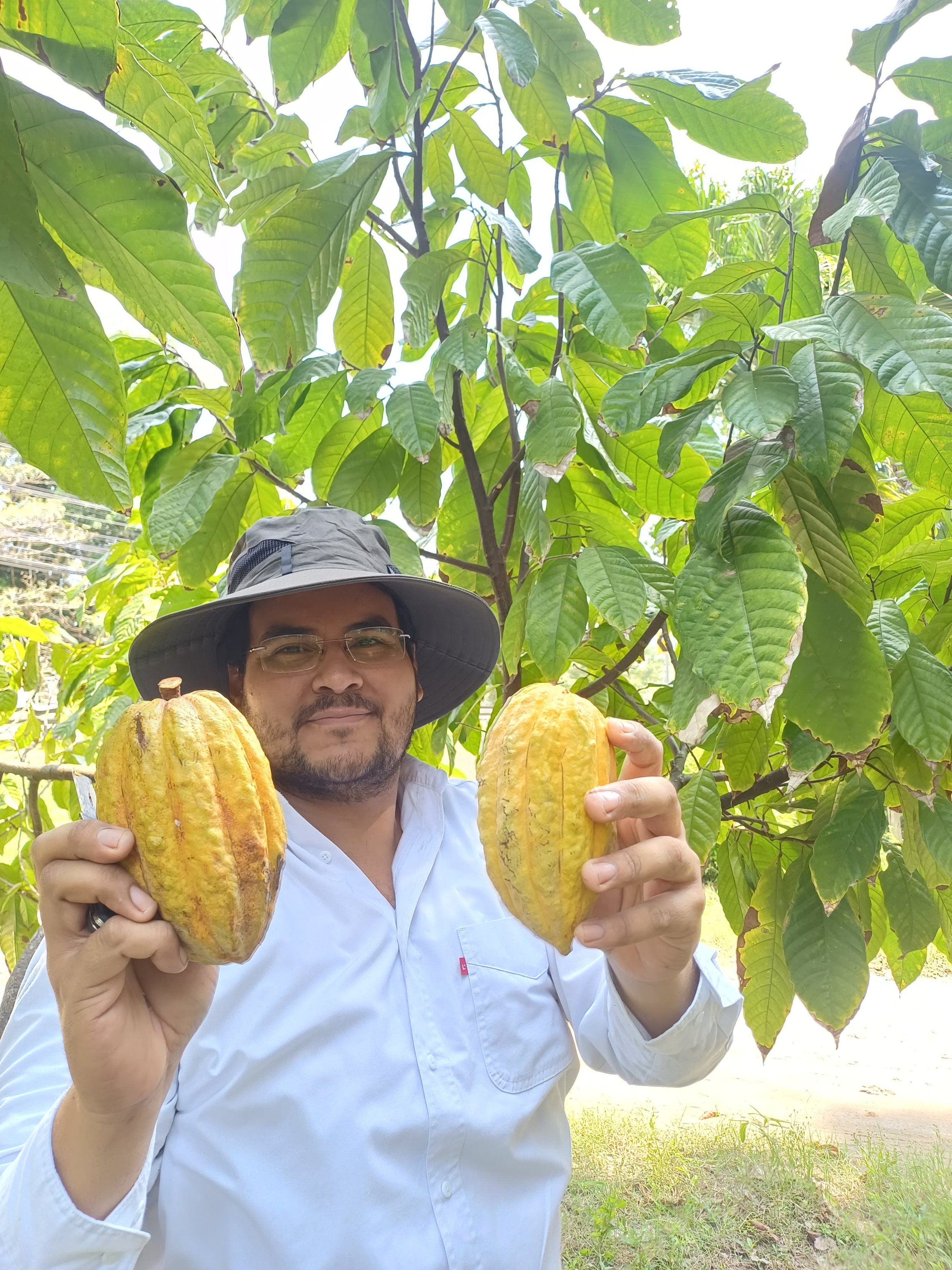 Orígenes e Identidades Cacao Lavado y Cacao Fermentado_2.jpeg