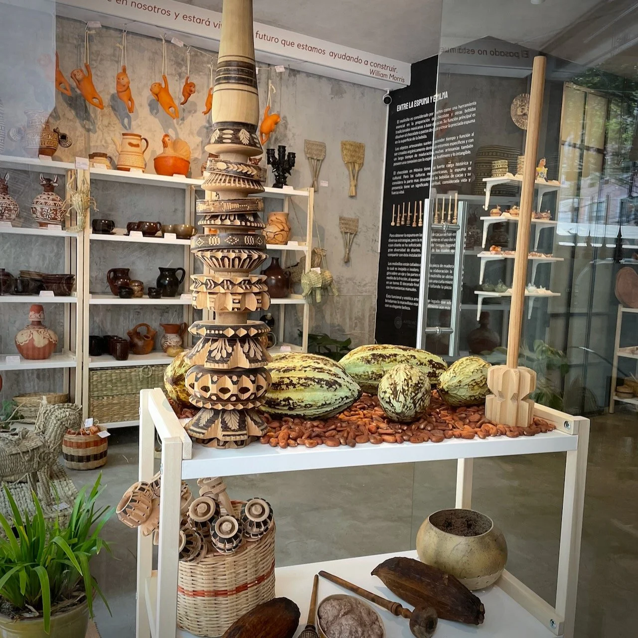 cacaoparatodos-tienda